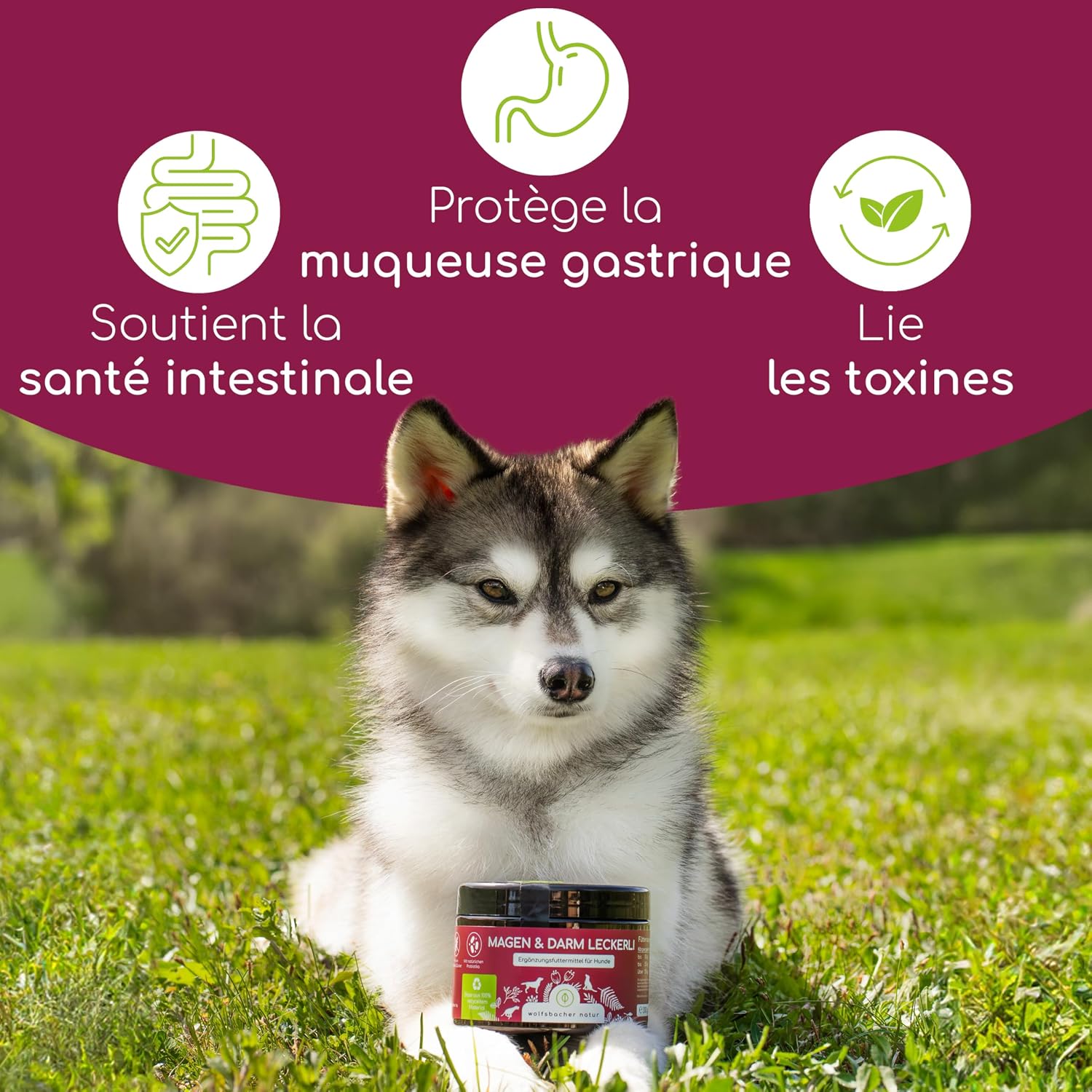 Prebiotic Dog Treats – 125 Snacks Intestinal Flora – Supports Digestion & Firm Stool – Yeast Extract & Herbs – Gentle Intestinal Cure - Image 3