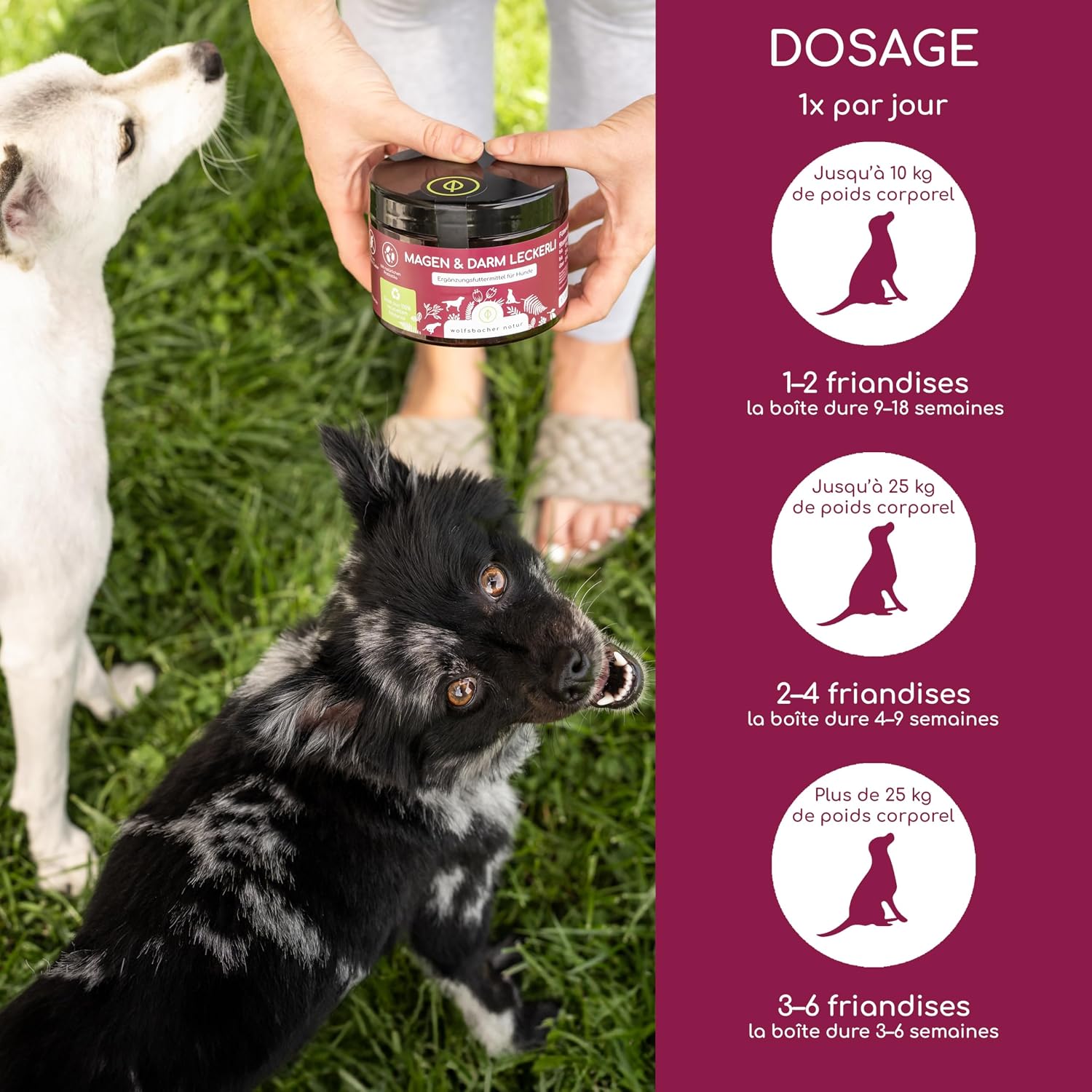 Prebiotic Dog Treats – 125 Snacks Intestinal Flora – Supports Digestion & Firm Stool – Yeast Extract & Herbs – Gentle Intestinal Cure - Image 5