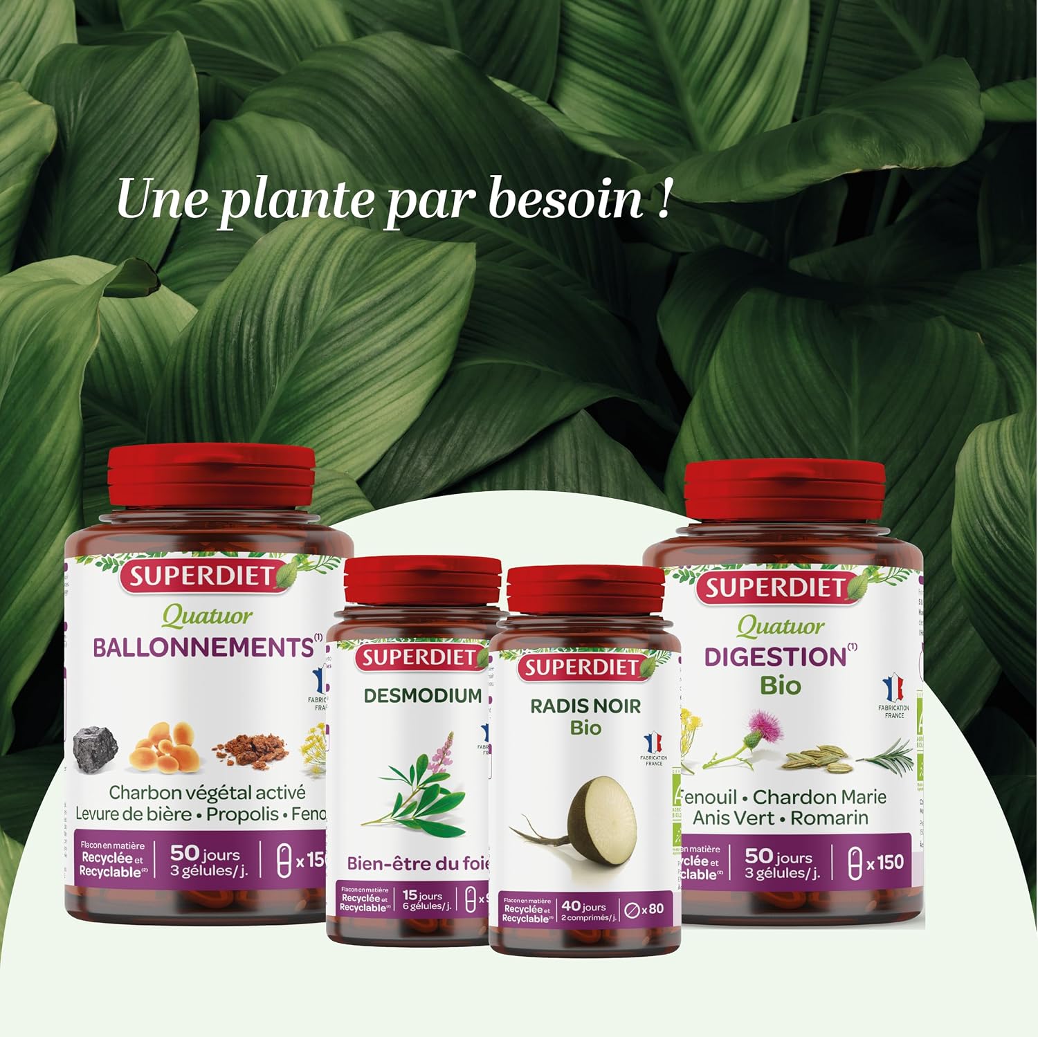 Digestion, detox liver - Black radish, Artichoke - Organic - Tablets - Image 7