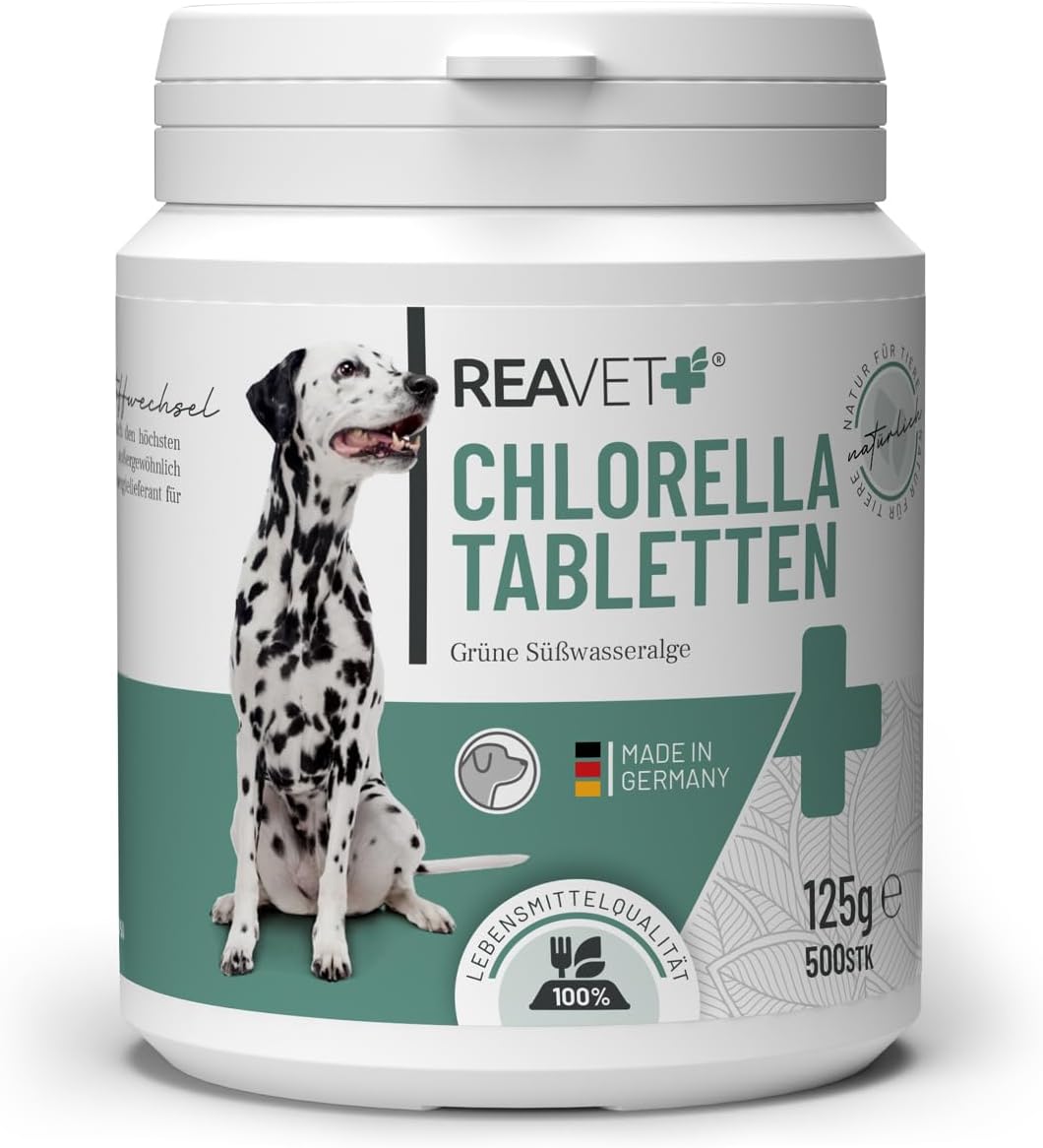 ReaVET Chlorella Tablets for Dogs 500 Pieces - High Dose Food Grade, Microalgae Support Skin and Coat - Image 2