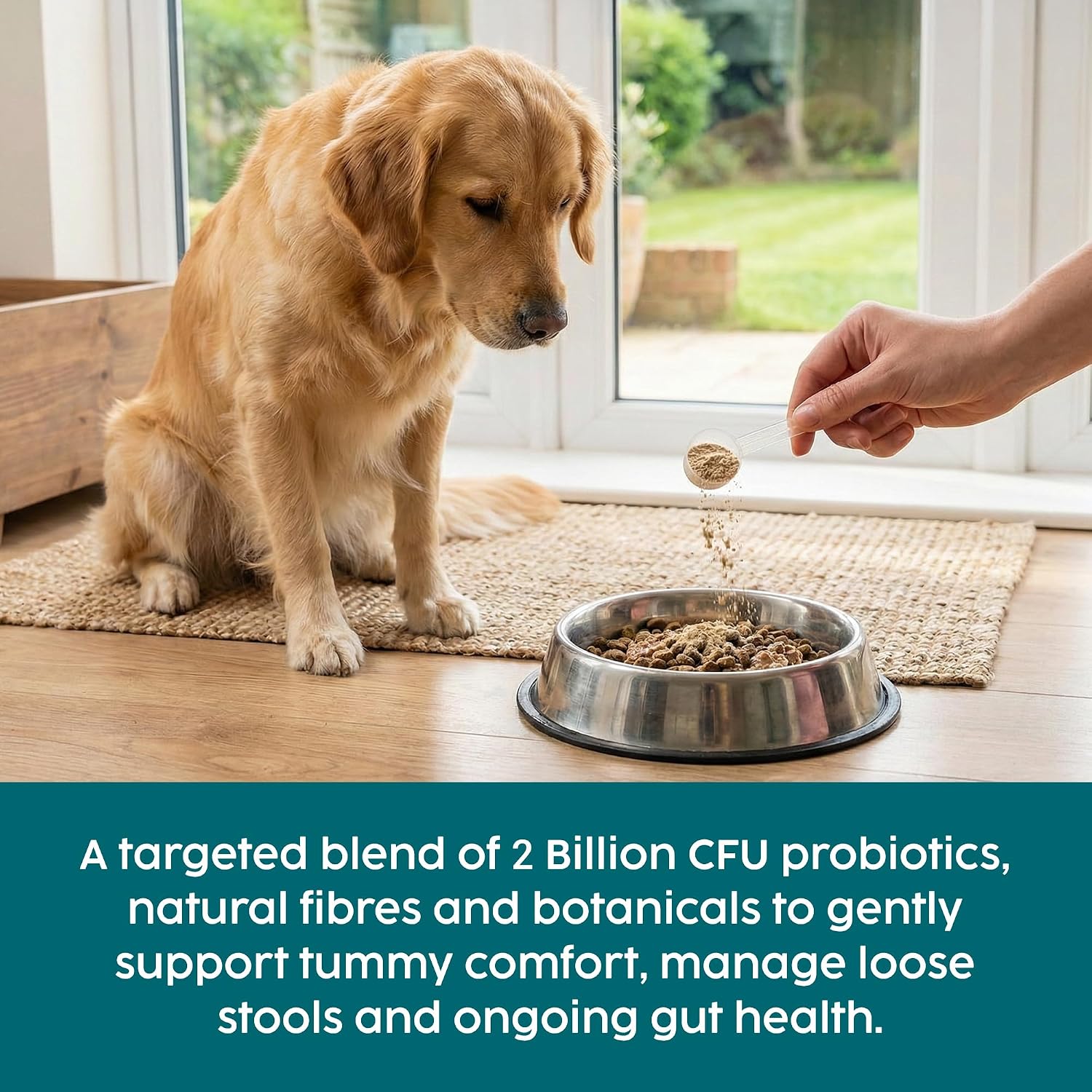 Probiotics for Dogs, Gut Health Supplement 100g - Advanced Probiotic Powder for Dogs with Prebiotics for Digestive and Immune Support - Image 3