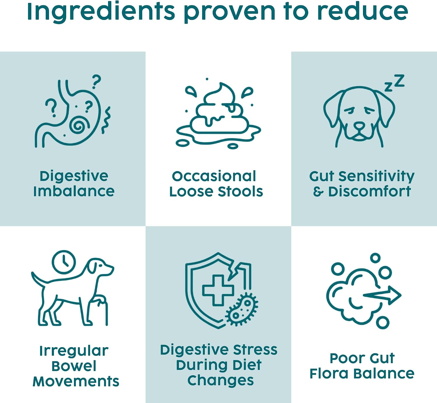 Probiotics for Dogs, Gut Health Supplement 100g - Advanced Probiotic Powder for Dogs with Prebiotics for Digestive and Immune Support - Image 7