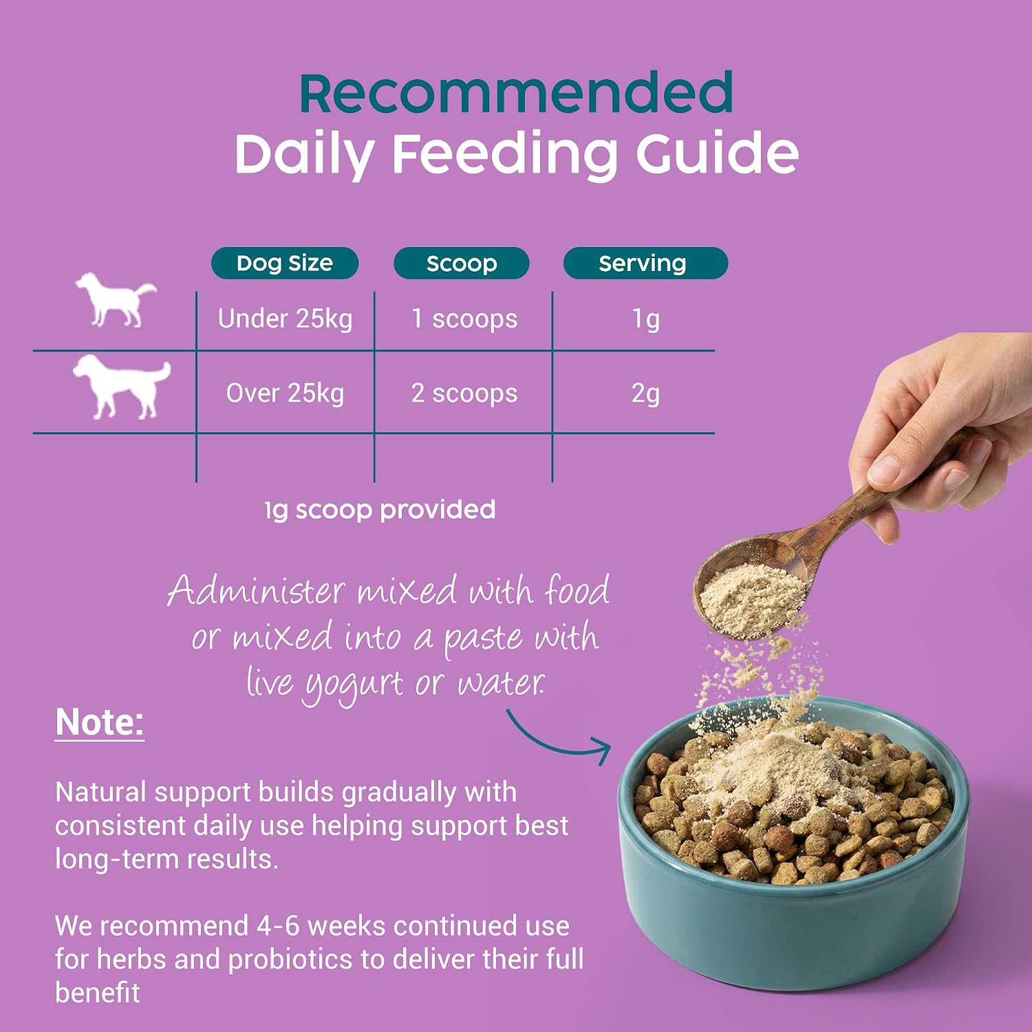 Probiotics for Dogs, Gut Health Supplement 100g - Advanced Probiotic Powder for Dogs with Prebiotics for Digestive and Immune Support - Image 8