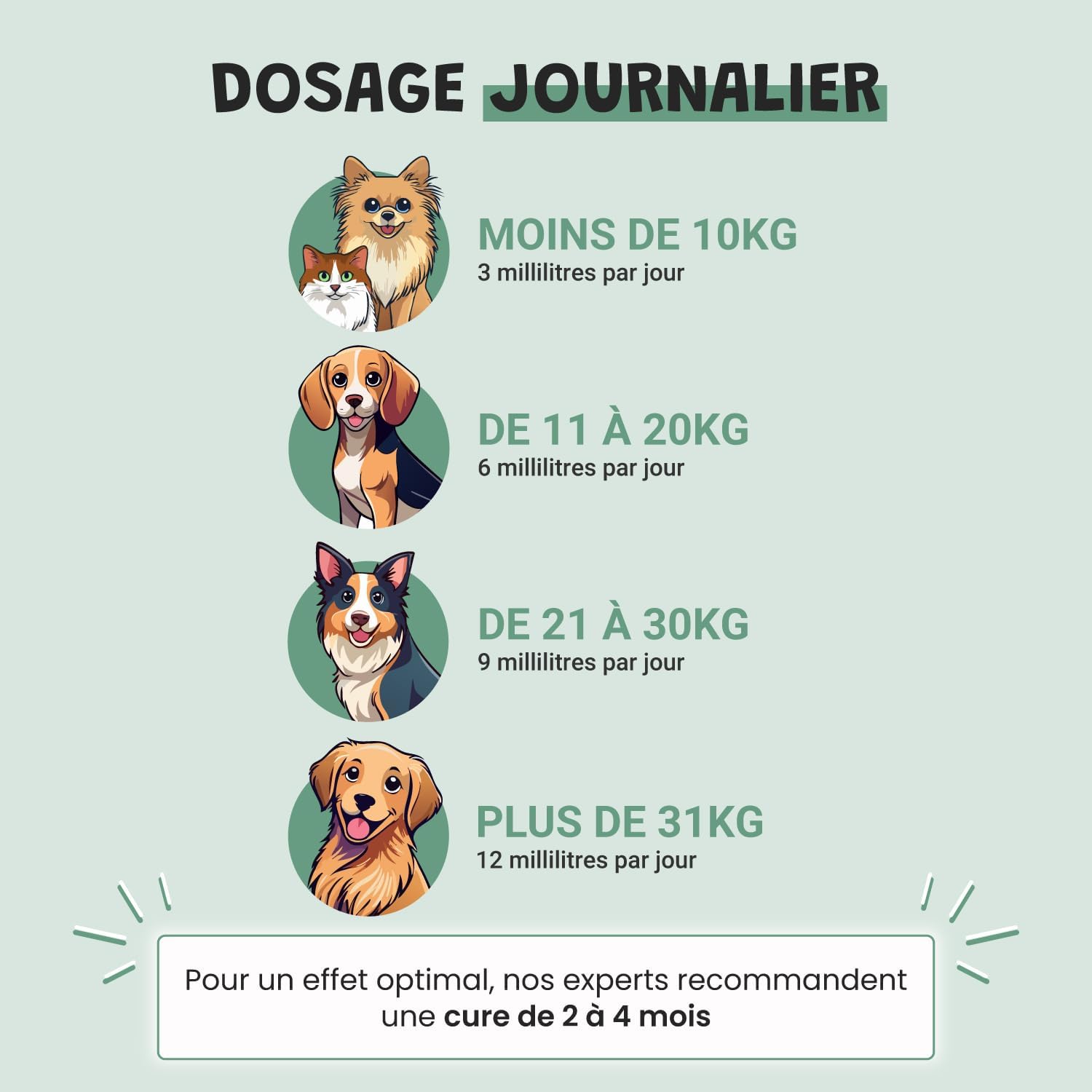 Museau & Co Anti-Stress Dog Cat Supplement - Calming Anxiety & Fireworks Supplement - Valerian Passionflower Griffonia Hops - Liquid Pipette - Formulated by Veterinarians - Made in France - Image 6