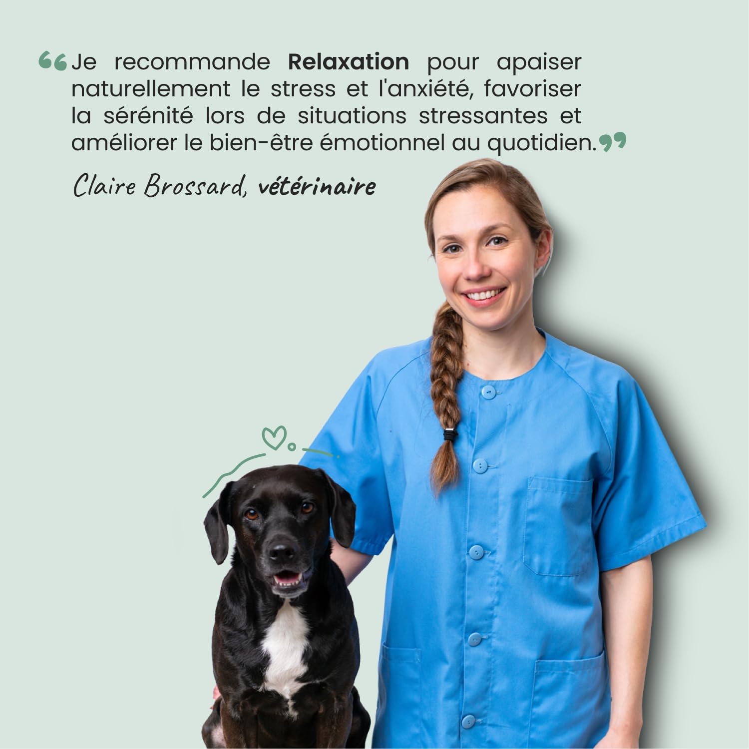 Museau & Co Anti-Stress Dog Cat Supplement - Calming Anxiety & Fireworks Supplement - Valerian Passionflower Griffonia Hops - Liquid Pipette - Formulated by Veterinarians - Made in France - Image 9