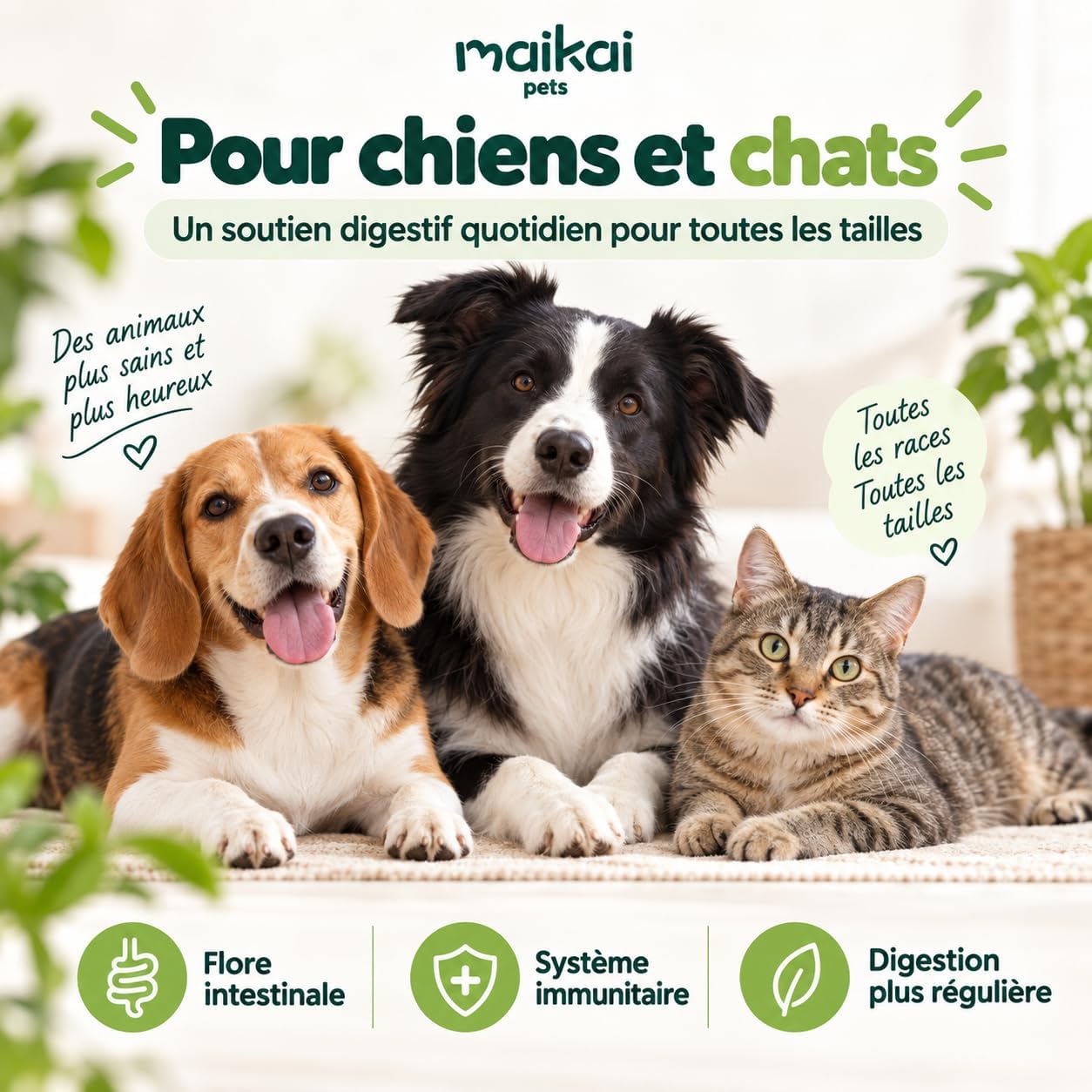 MAIKAI Dog and Cat Probiotic, Intestinal Flora and Digestion, 150 g - Image 8