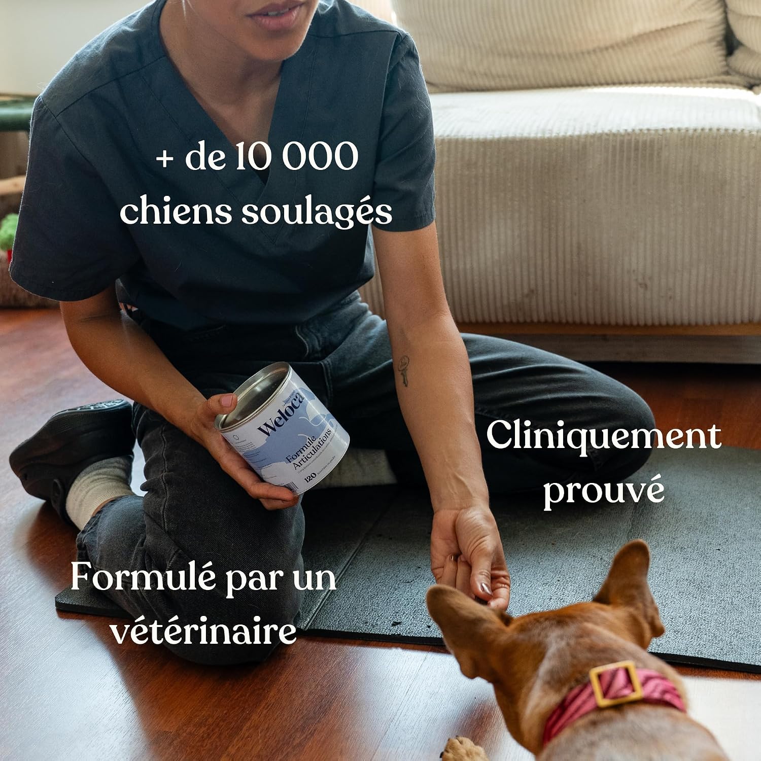 Osteoarthritis for Dogs - 60 Bites - 11 Powerful Active Ingredients (Glucosamine Chondroitin, MSM, Green Mussel, Harpagophytum) - Anti-inflammatory - Dog Food Supplement - New Format - Image 4