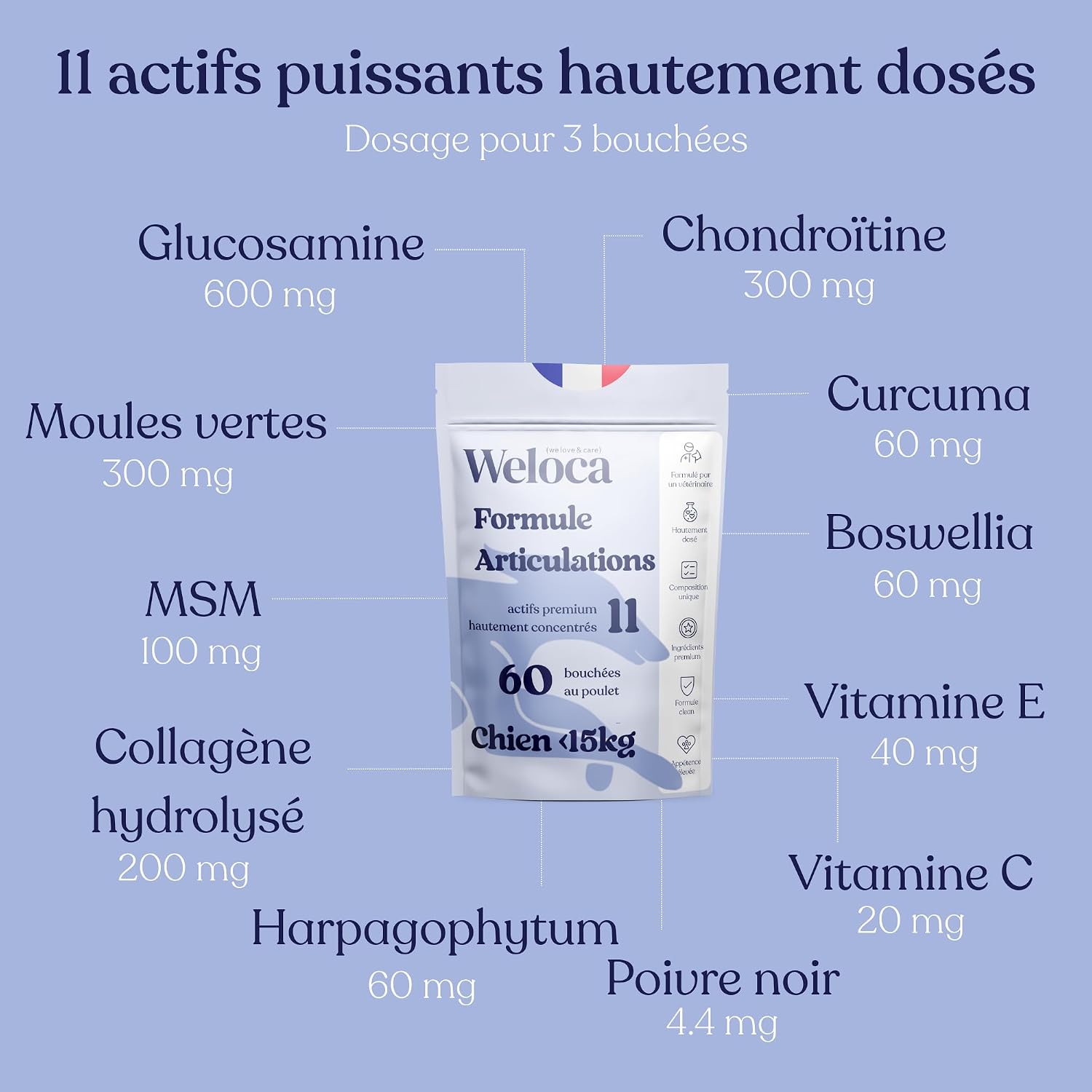 Osteoarthritis for Dogs - 60 Bites - 11 Powerful Active Ingredients (Glucosamine Chondroitin, MSM, Green Mussel, Harpagophytum) - Anti-inflammatory - Dog Food Supplement - New Format - Image 7
