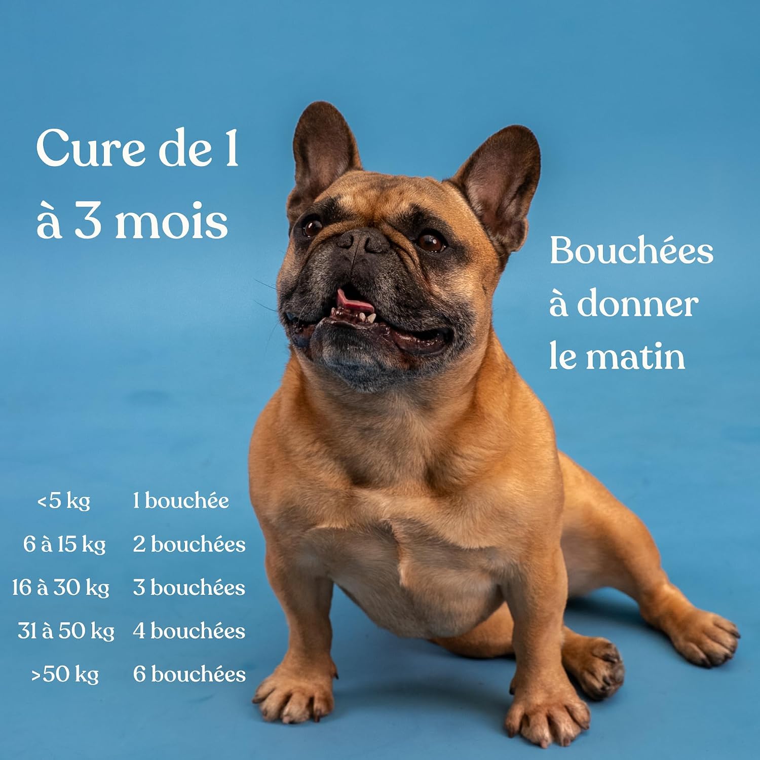 Osteoarthritis for Dogs - 60 Bites - 11 Powerful Active Ingredients (Glucosamine Chondroitin, MSM, Green Mussel, Harpagophytum) - Anti-inflammatory - Dog Food Supplement - New Format - Image 8