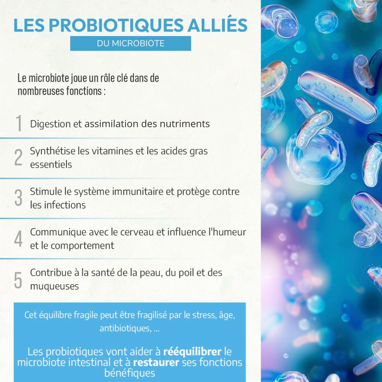 Neoveto Pro Powder and Prebiotics for Dogs and Cats 90 Spoons Approved by French Veterinary Services - Made in France - Easy to Administer - Image 5