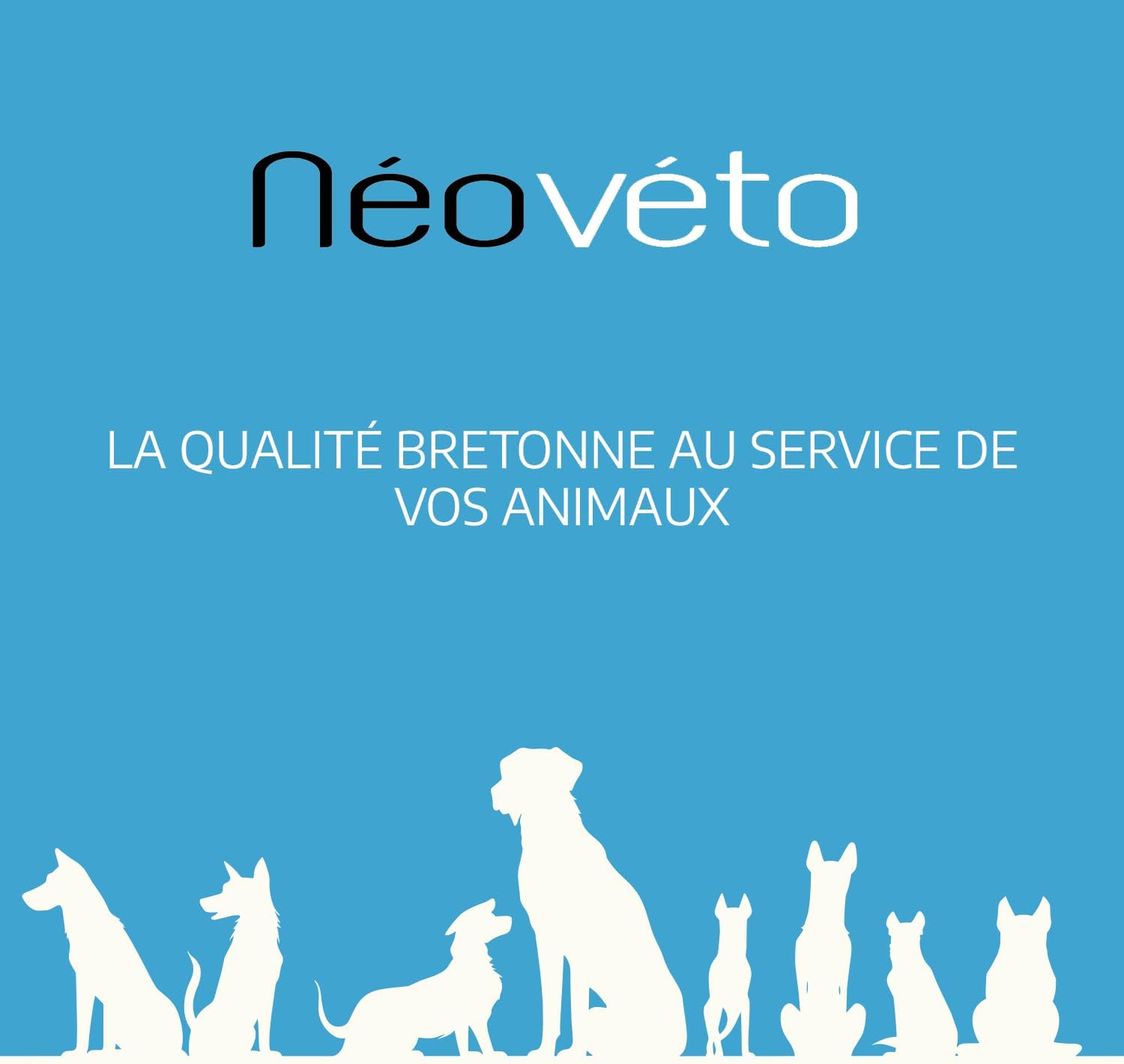 Neoveto Pro Powder and Prebiotics for Dogs and Cats 90 Spoons Approved by French Veterinary Services - Made in France - Easy to Administer - Image 8