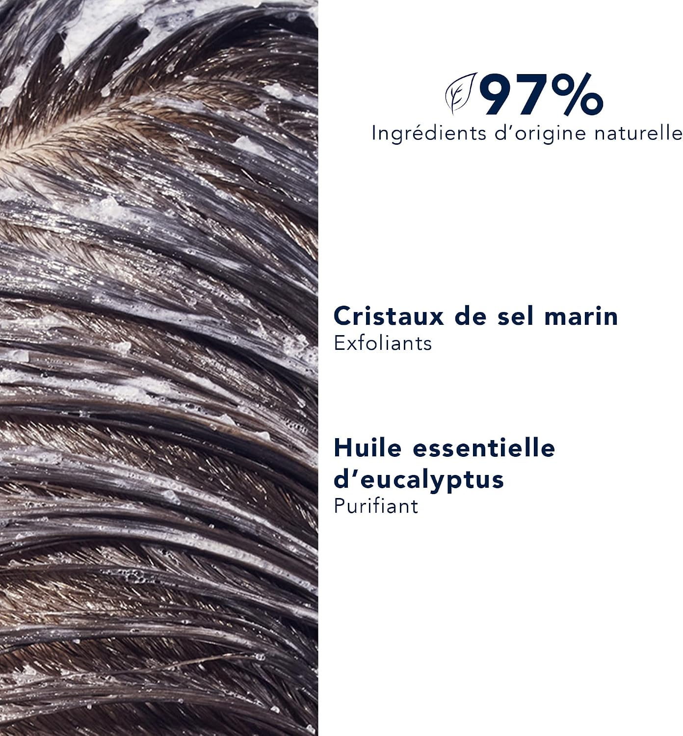 Phyto Paris Solution, Purifying Scalp Cleansing Scrub - Image 4