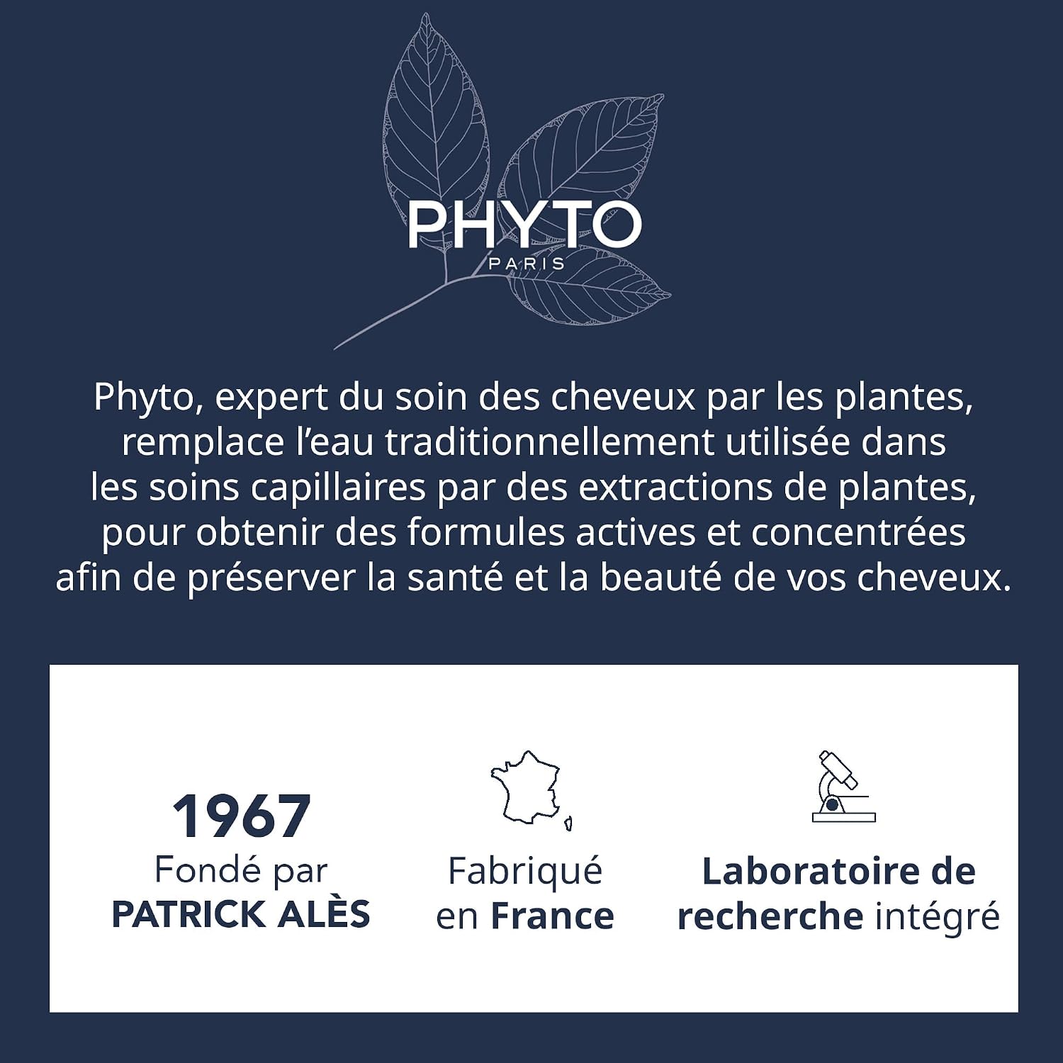 Phyto Paris Solution, Purifying Scalp Cleansing Scrub - Image 7
