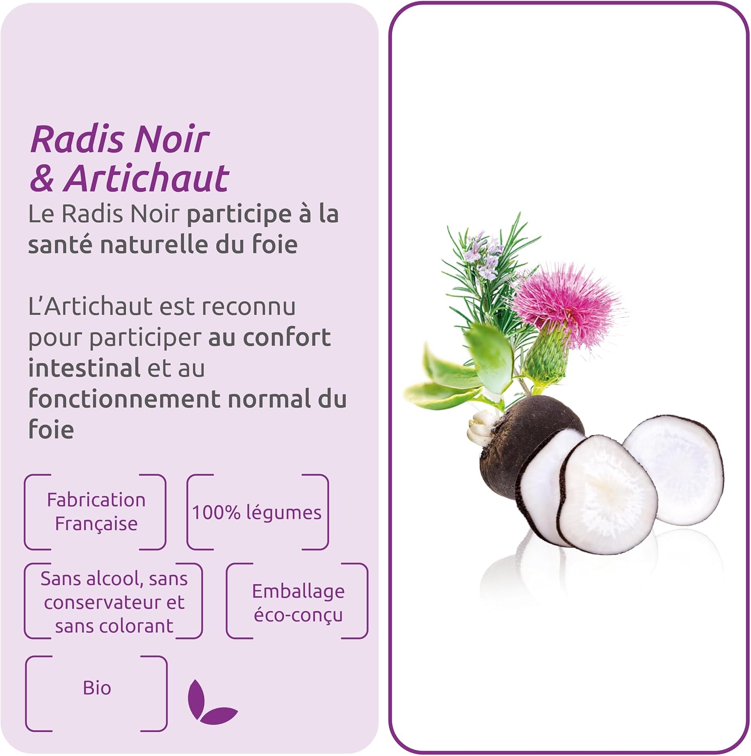HERBESAN – RADIS BLACK AND ARTICHOKE ORGANIC – Digestive well-being – French laboratory – 20 ampoules of 10 ml - Image 3