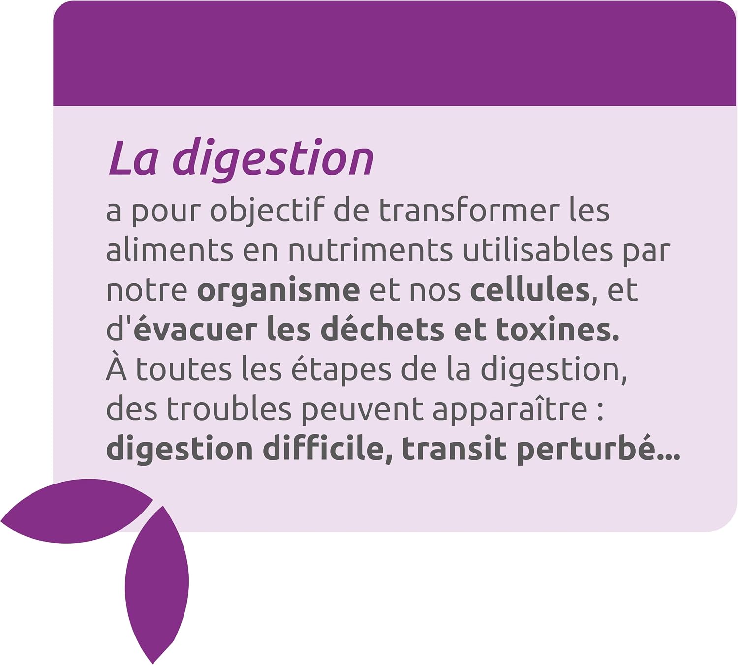 HERBESAN – RADIS BLACK AND ARTICHOKE ORGANIC – Digestive well-being – French laboratory – 20 ampoules of 10 ml - Image 4