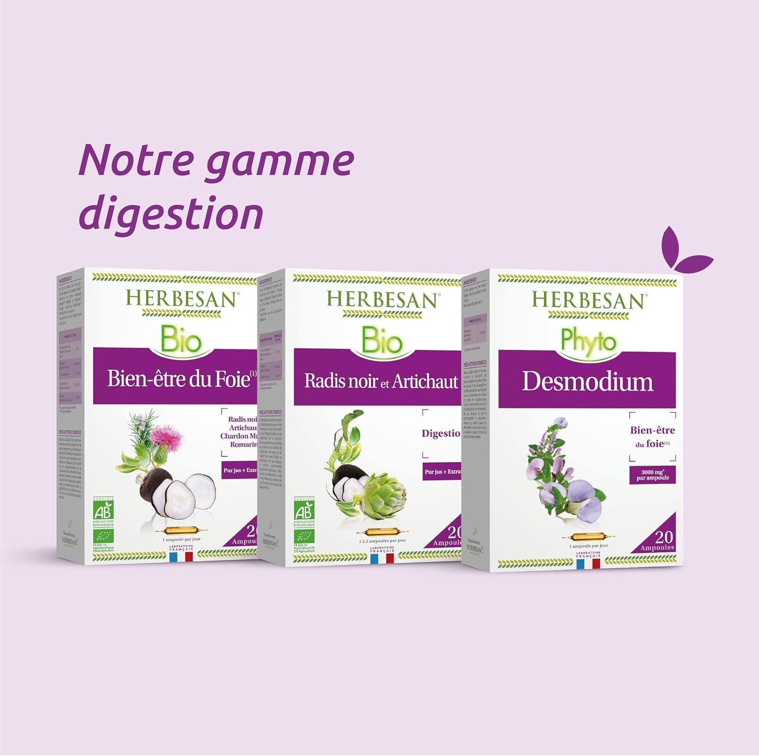HERBESAN – RADIS BLACK AND ARTICHOKE ORGANIC – Digestive well-being – French laboratory – 20 ampoules of 10 ml - Image 6