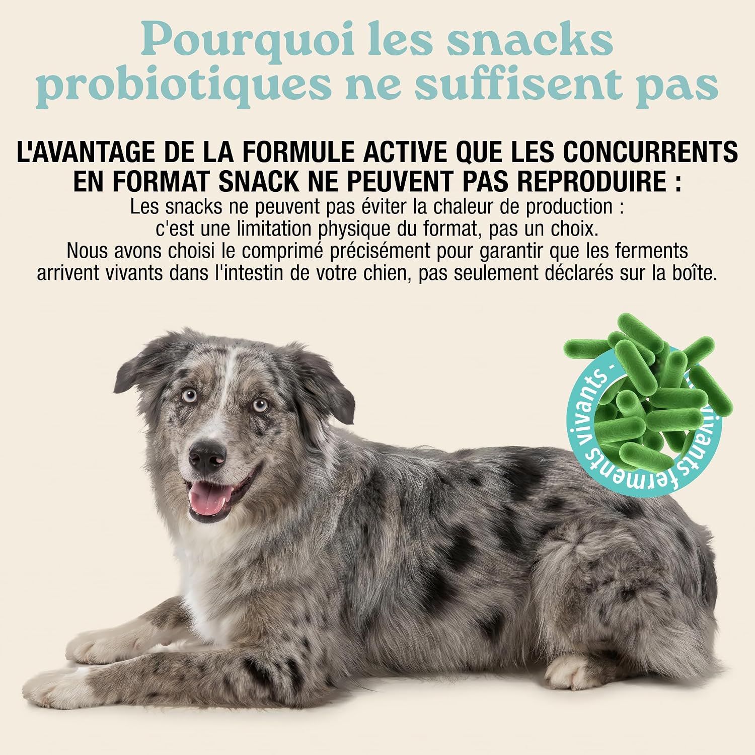 MyPetPrime Lactic Ferments Probiotics Dog | 6.5M CFUs | 30 Tablets - Image 9