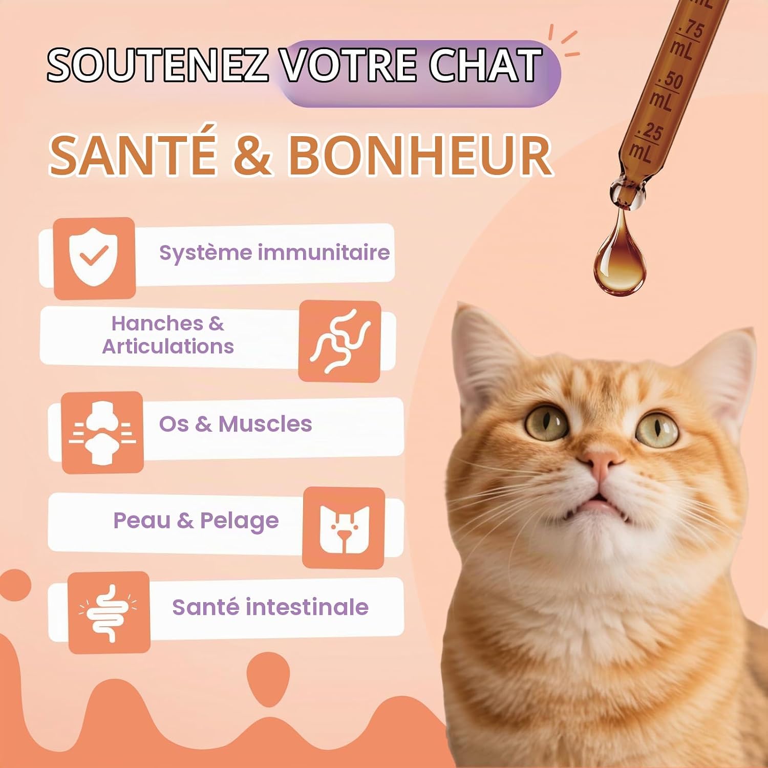 Cat Collagen, Skin & Coat Support, Joints & Immunity - Image 6