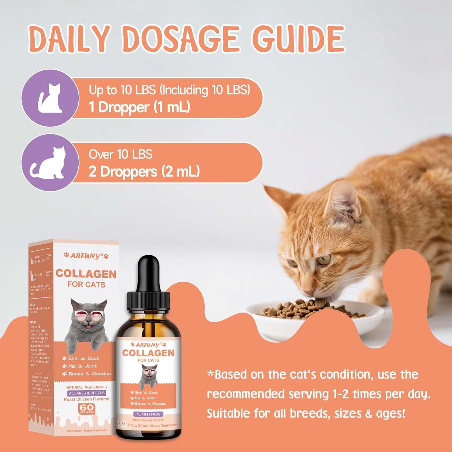 Cat Collagen, Skin & Coat Support, Joints & Immunity - Image 8