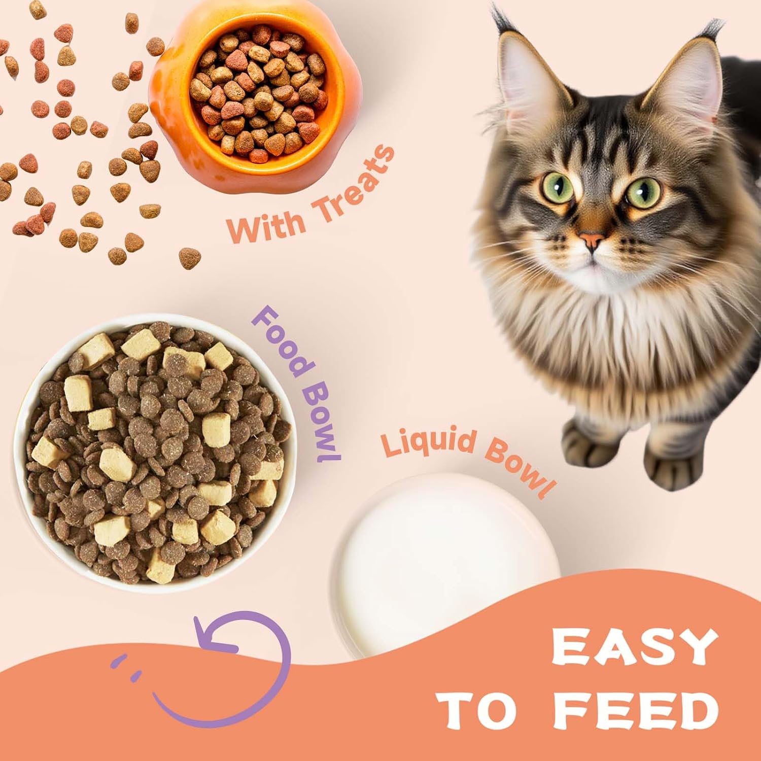 Cat Collagen, Skin & Coat Support, Joints & Immunity - Image 9