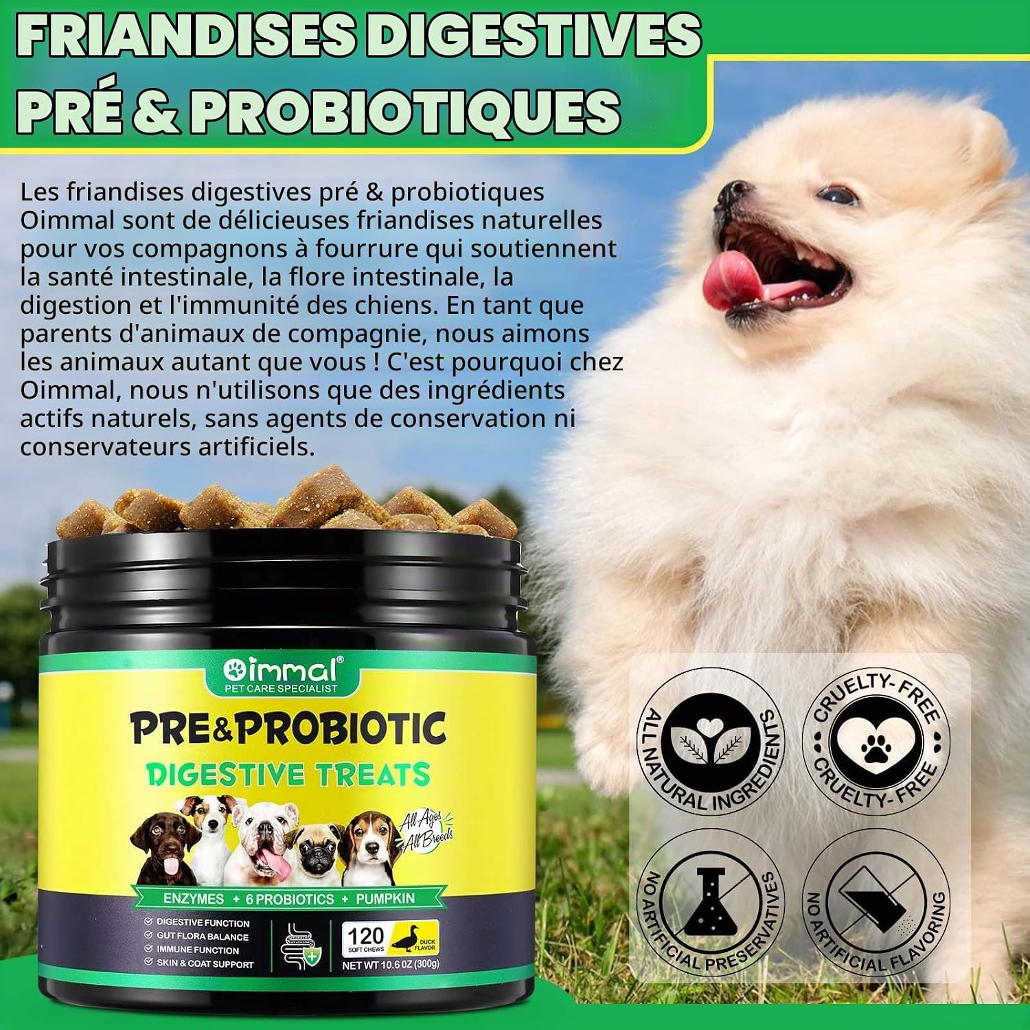 Dog Probiotics, Digestive Probiotics for Dogs, Digestive Enzymes, Immune System & General Health Support, Gut Flora, Allergic Itching Relief - Image 3