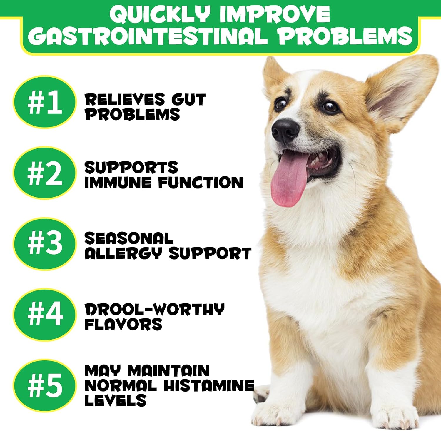 Dog Probiotics, Digestive Probiotics for Dogs, Digestive Enzymes, Immune System & General Health Support, Gut Flora, Allergic Itching Relief - Image 5