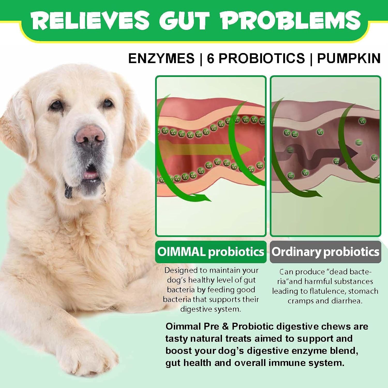Dog Probiotics, Digestive Probiotics for Dogs, Digestive Enzymes, Immune System & General Health Support, Gut Flora, Allergic Itching Relief - Image 9