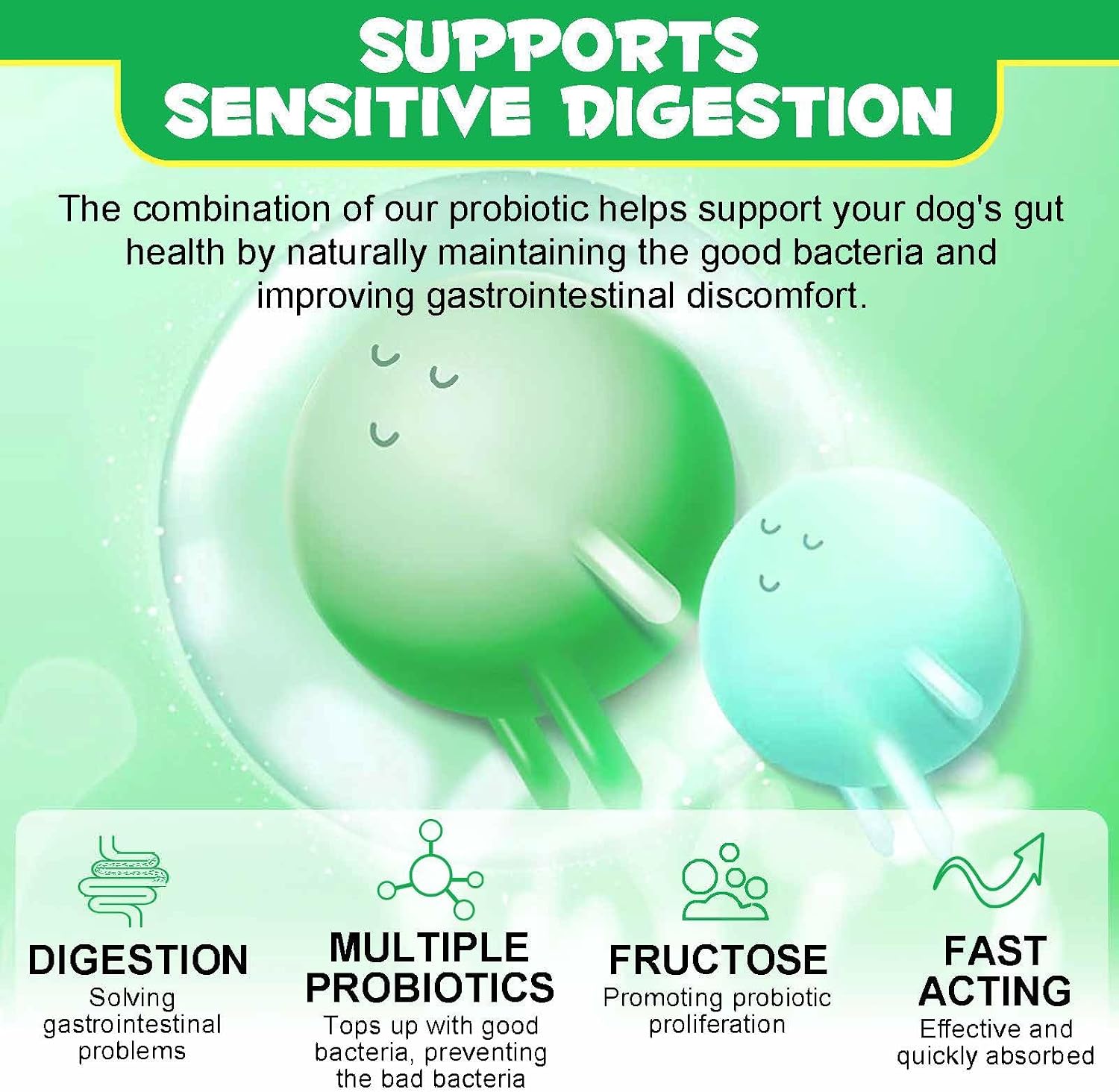 Dog Probiotics, Digestive Probiotics for Dogs, Digestive Enzymes, Immune System & General Health Support, Gut Flora, Allergic Itching Relief - Image 10