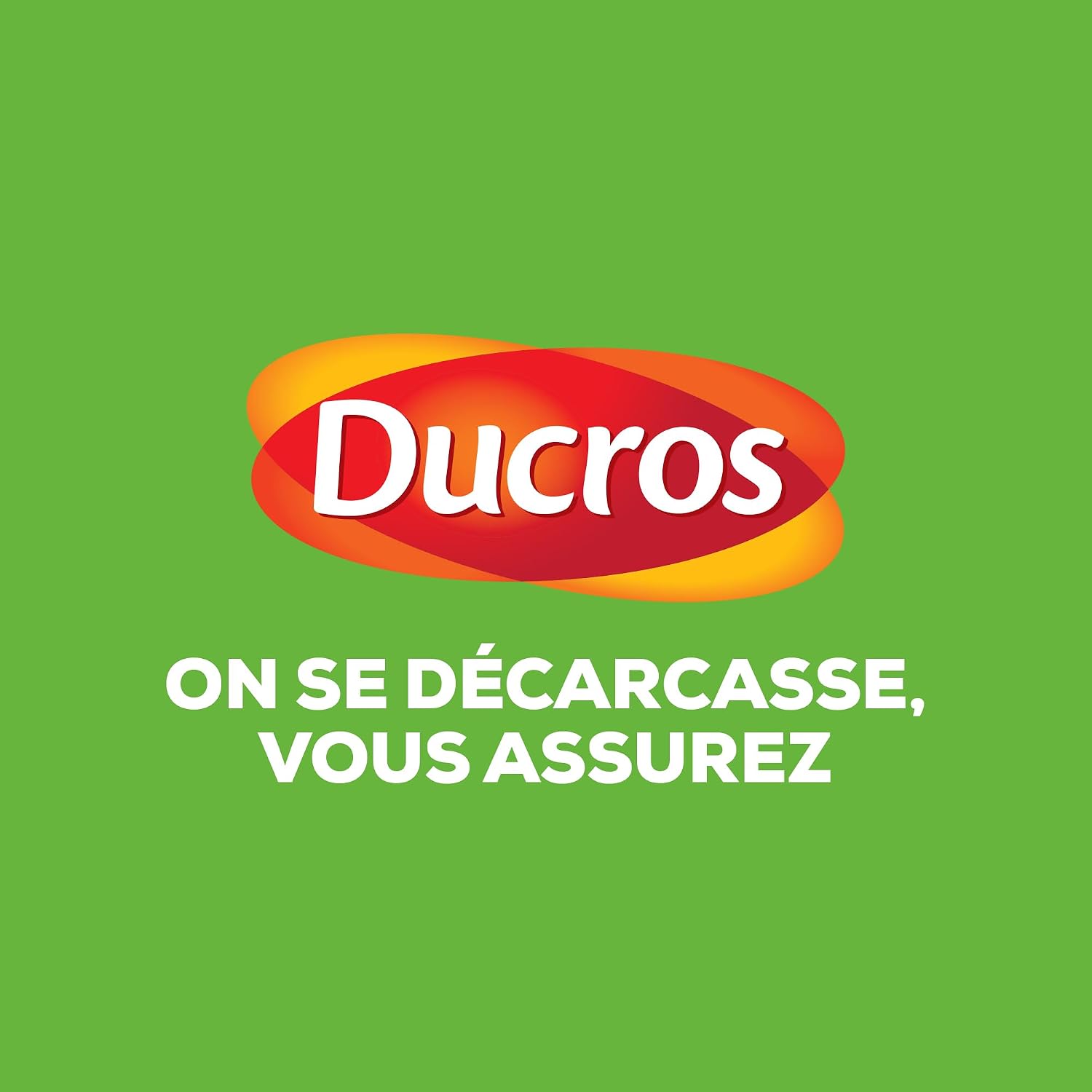Ducros Organic ground turmeric - The 42g bottle - Image 4