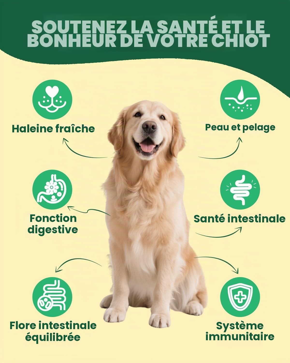 Probiotic Dog to Stabilize Physiological Digestion, 60 ml - Image 3