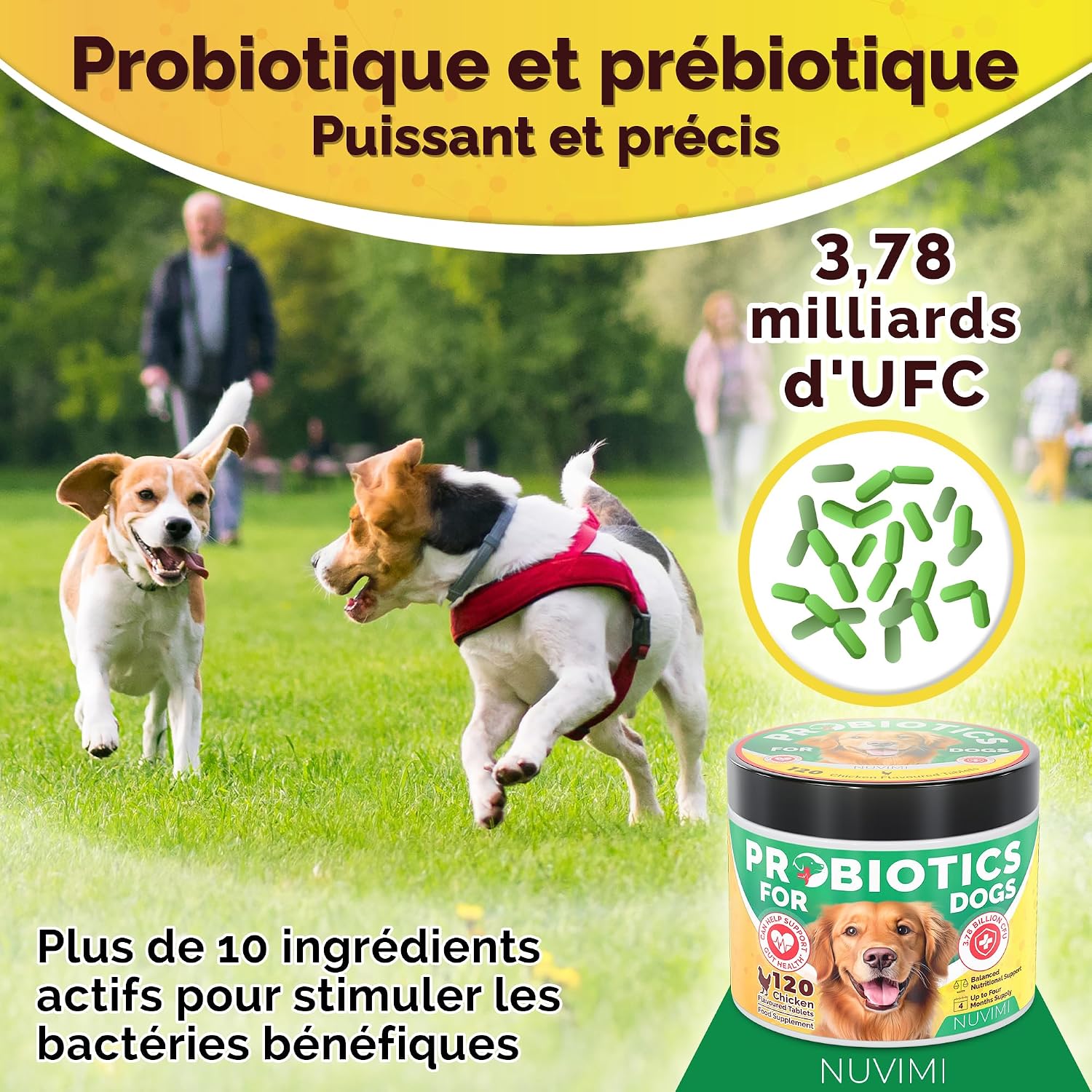 Probiotics for Dogs - Dog Probiotic & Prebiotic Tablets - Digestive Support Supplement for Gut Health, Tummy Relief, Itching, Diarrhoea, Allergies, Bad Breath - 120 Chicken Flavour - Image 3