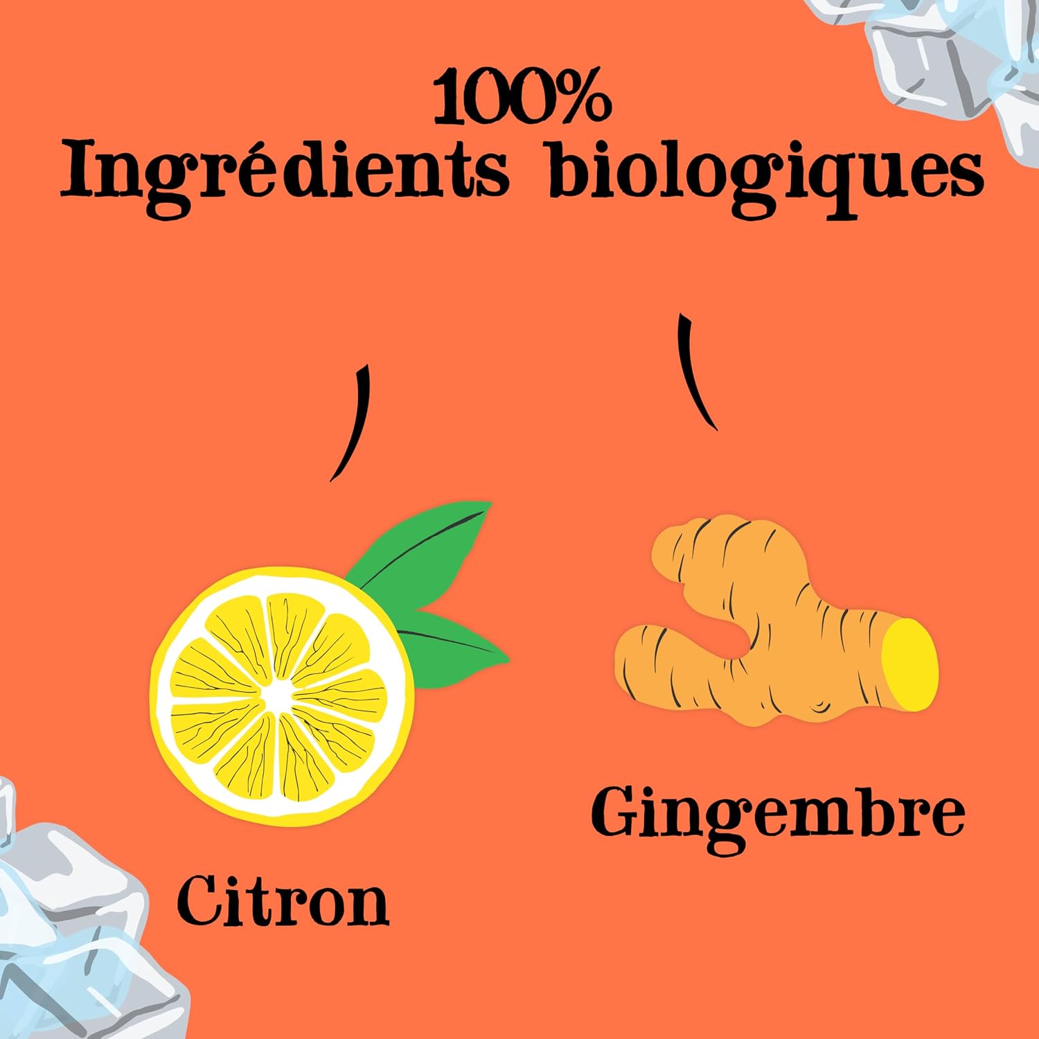 CLIPPER Cold Infusion - Lemon, Ginger, Turmeric - No Added Sugars - 10 Organic Infusion Sachets - 27g - Image 4