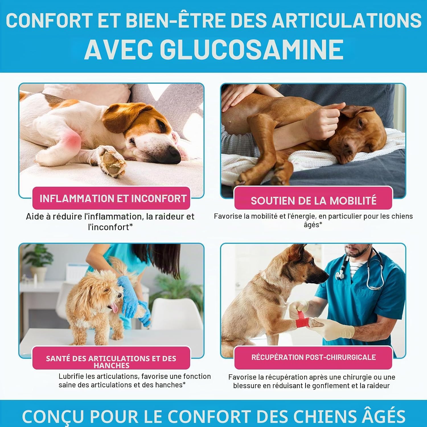 Dog Joint Supplement 120ml, Glucosamine for Dogs with Chondroitin, MSM, Hyaluronic Acid Collagen Type II, Joint Support Dog, Liquid Food Supplement for Small and Large Dogs - Image 3