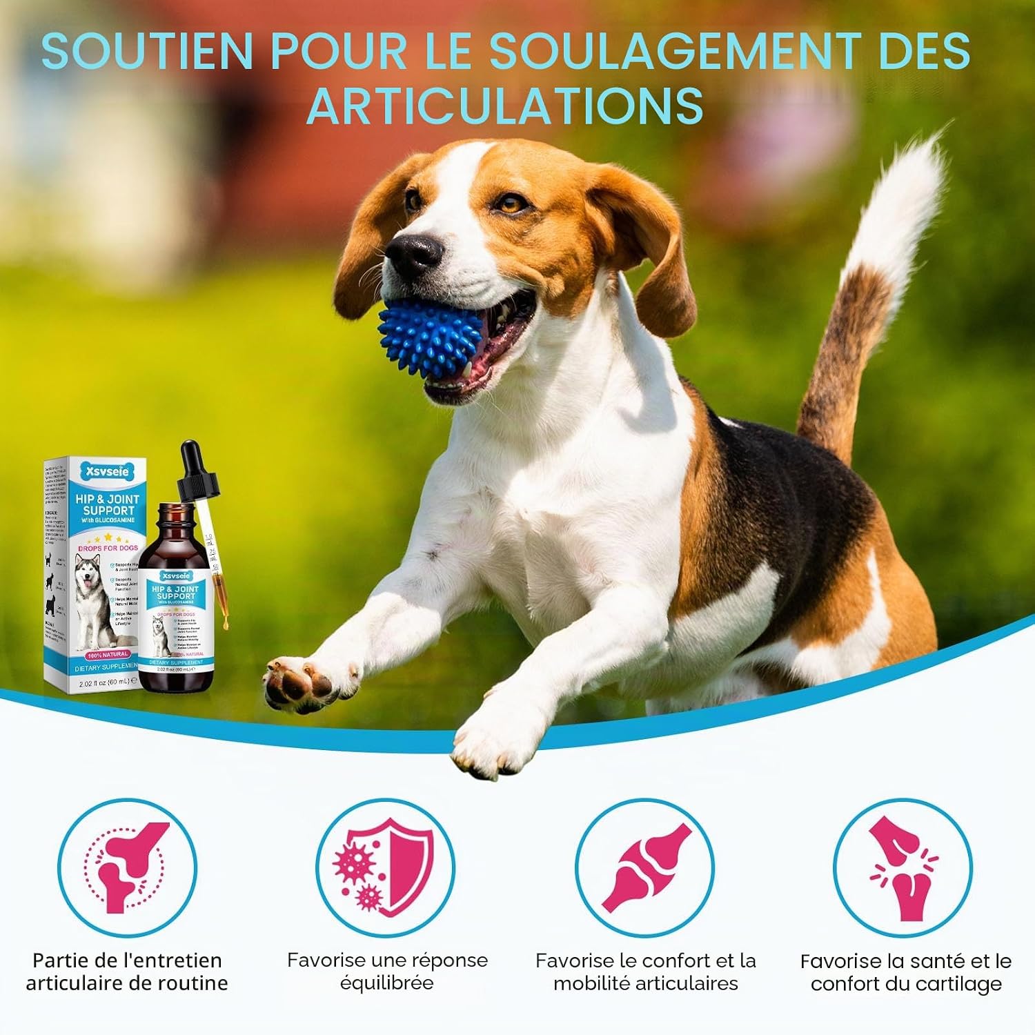 Dog Joint Supplement 120ml, Glucosamine for Dogs with Chondroitin, MSM, Hyaluronic Acid Collagen Type II, Joint Support Dog, Liquid Food Supplement for Small and Large Dogs - Image 7