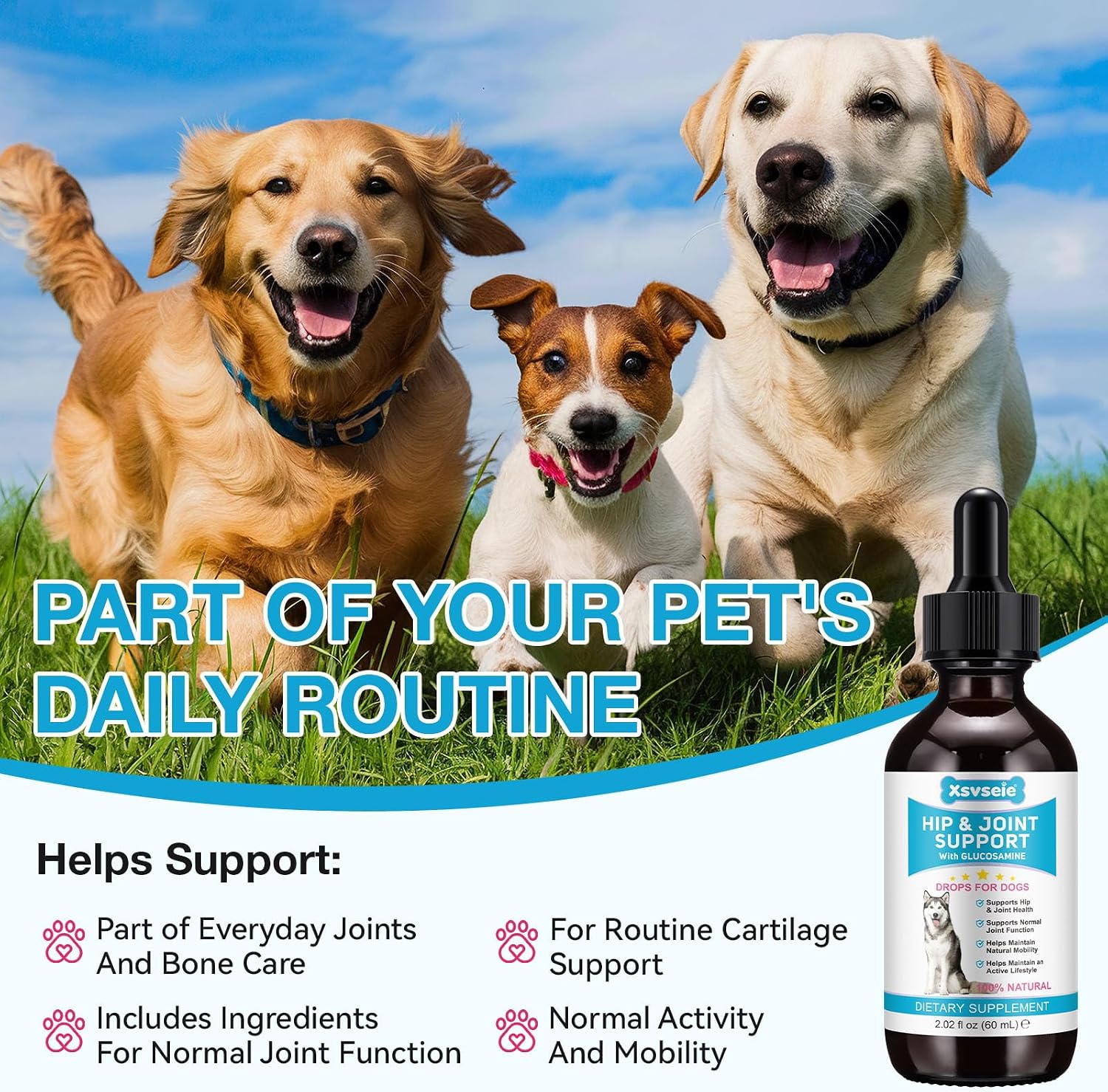 Dog Joint Supplement 120ml, Glucosamine for Dogs with Chondroitin, MSM, Hyaluronic Acid Collagen Type II, Joint Support Dog, Liquid Food Supplement for Small and Large Dogs - Image 8