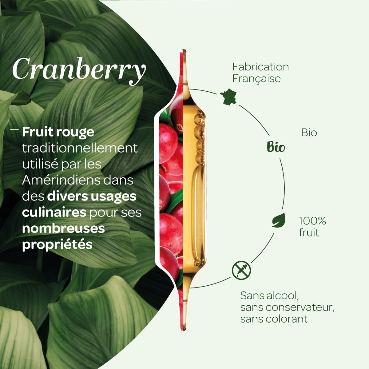Organic Cranberry - Urinary Comfort - Ampoules - Image 4