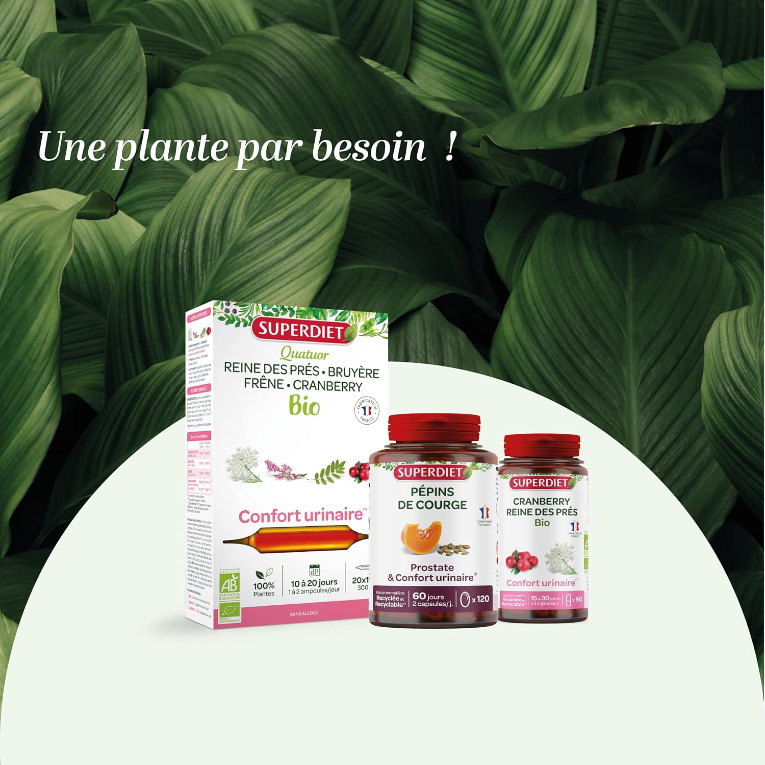 Organic Cranberry - Urinary Comfort - Ampoules - Image 7