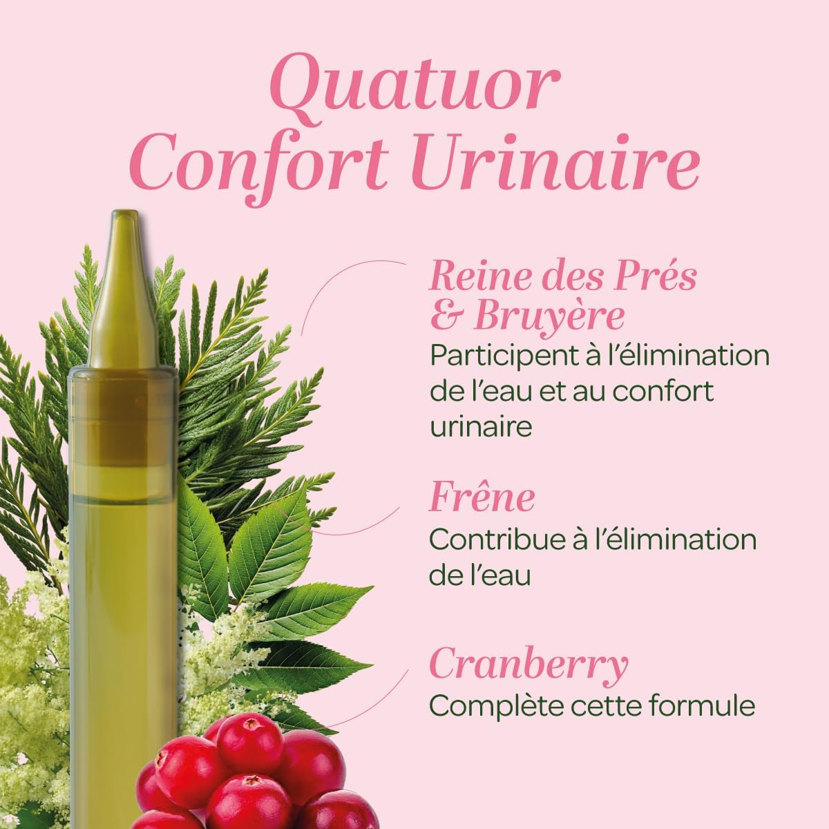Urinary Comfort - Cranberry, Dandelion, Heather, Ash - Single Doses - Image 4