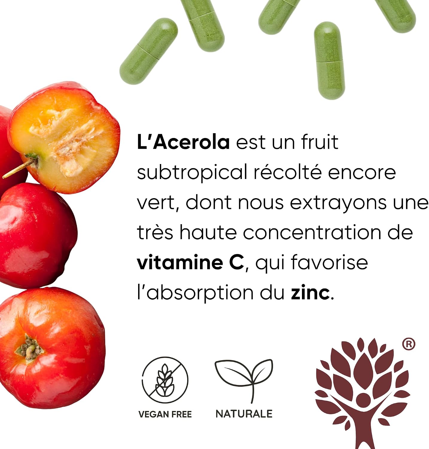 Bio Acerola and Moringa - Supplement with Vitamin C and Zinc to Strengthen the Immune System | The Only with Moringa | RedMoringa for Immunity | Made in Italy - 60 Vegetable Capsules - Image 8