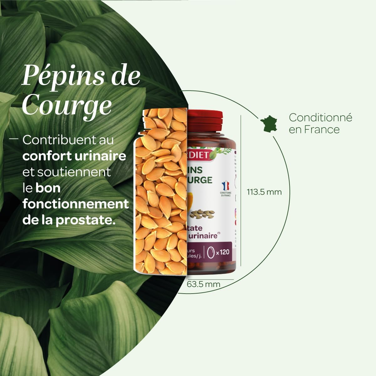 Prostate, Urinary Comfort - Squash Seed - Capsules - Image 4