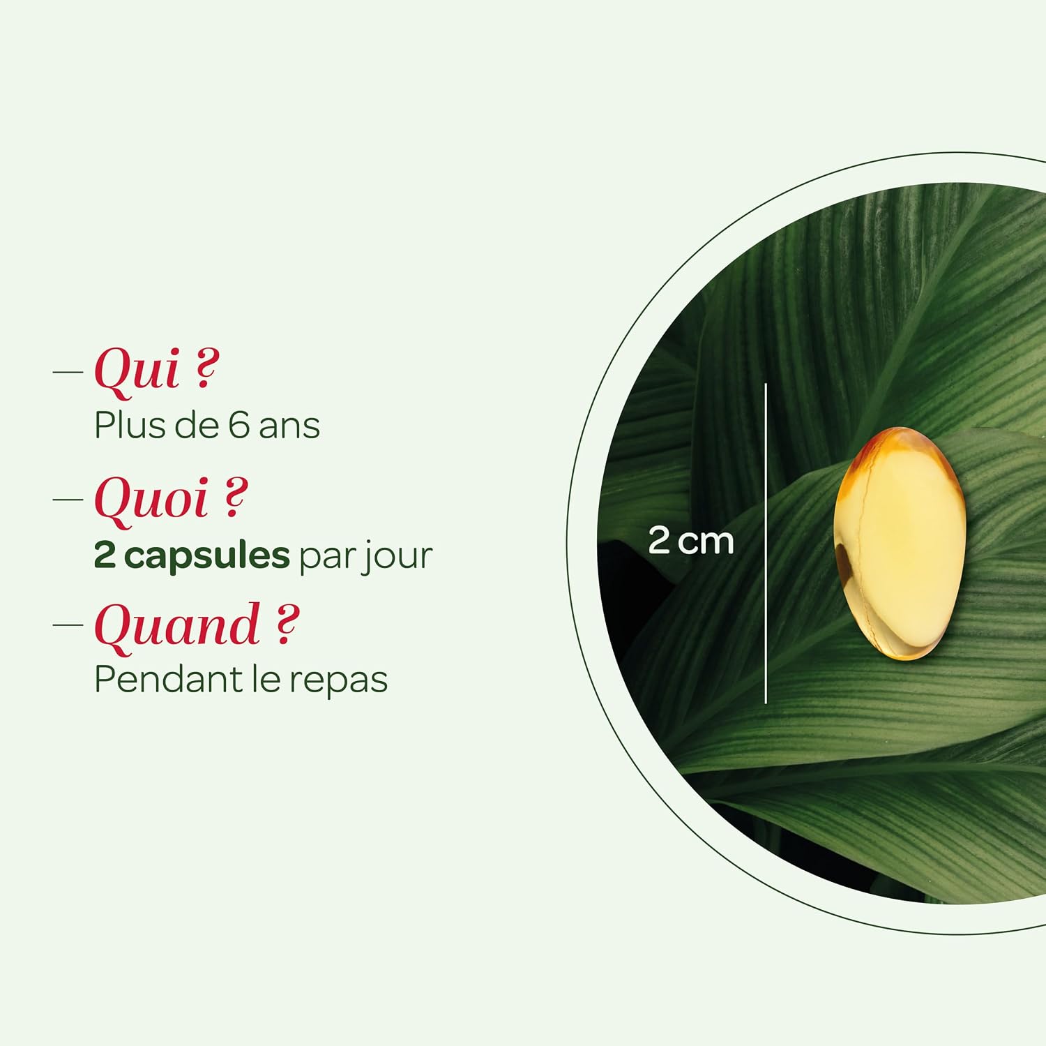 Prostate, Urinary Comfort - Squash Seed - Capsules - Image 5
