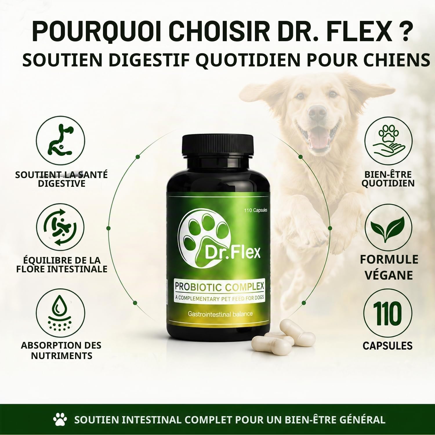 Dr. Flex Probiotic Complex for Dogs – 110 High Dose Capsules with Lactobacillus Acidophilus, Lipase, Cellulase and Protease for Digestion, Intestinal Flora, Gut Health and Vitality - Image 4