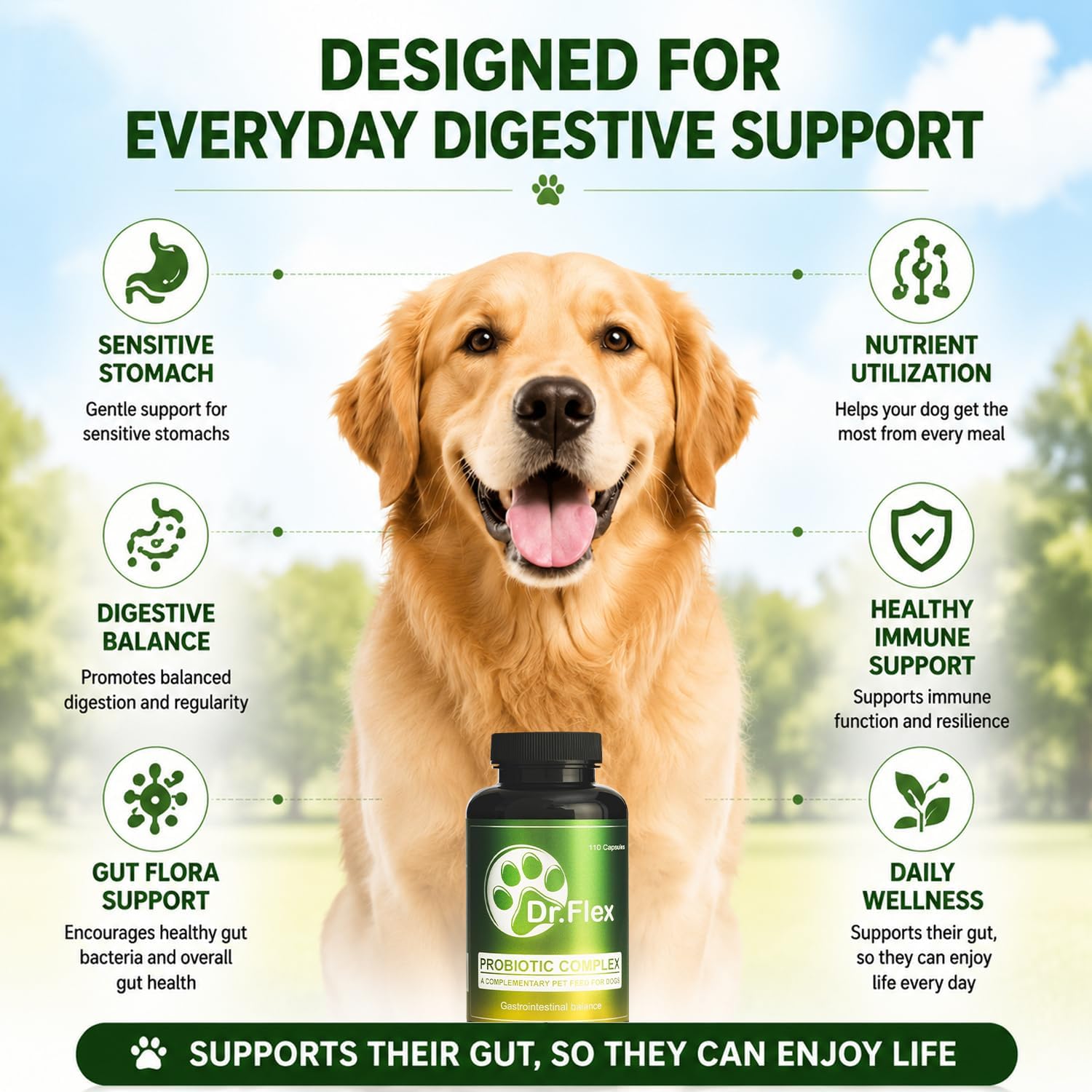 Dr. Flex Probiotic Complex for Dogs – 110 High Dose Capsules with Lactobacillus Acidophilus, Lipase, Cellulase and Protease for Digestion, Intestinal Flora, Gut Health and Vitality - Image 7