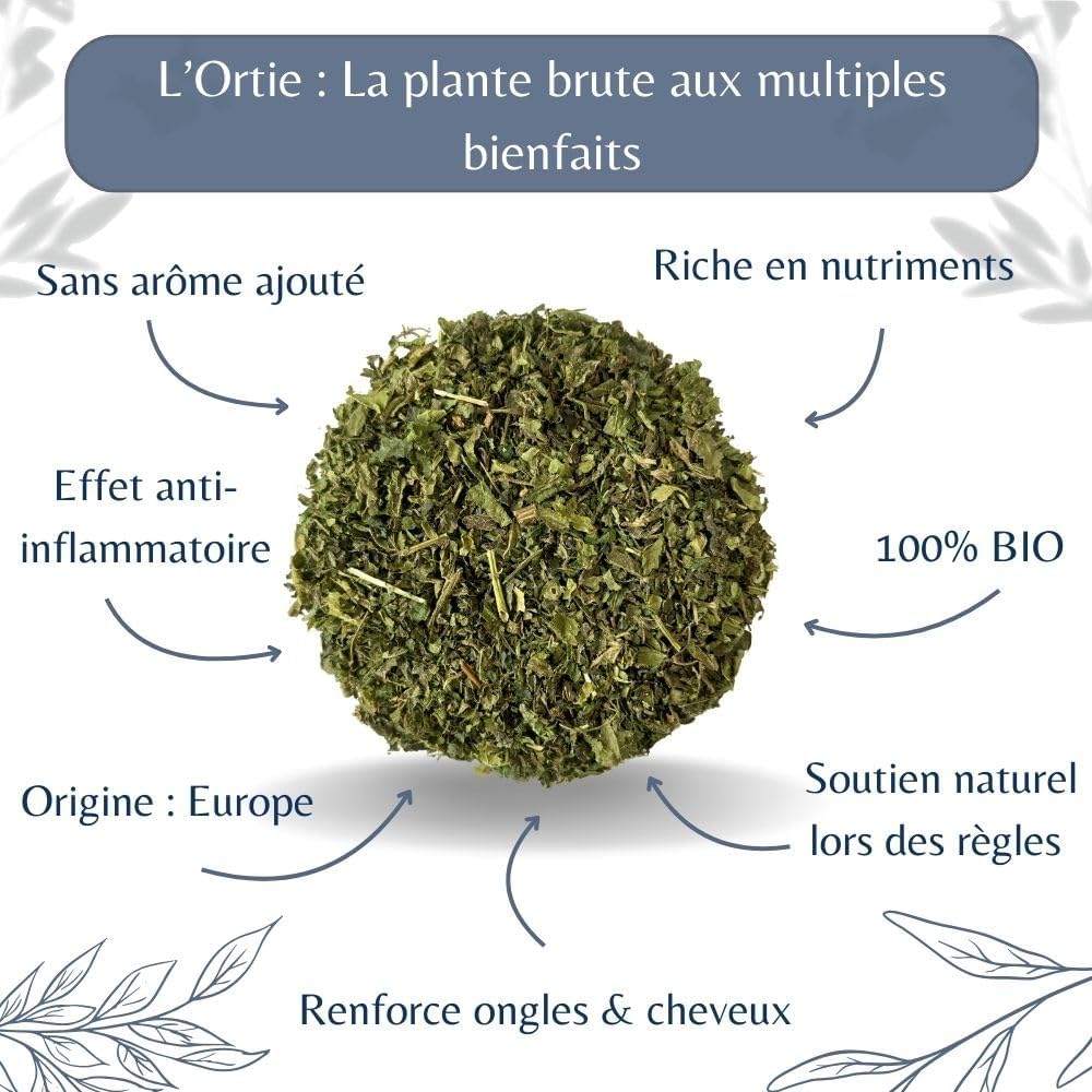 Organic Nettle Leaves Bulk - 100g (50 cups) - Image 4