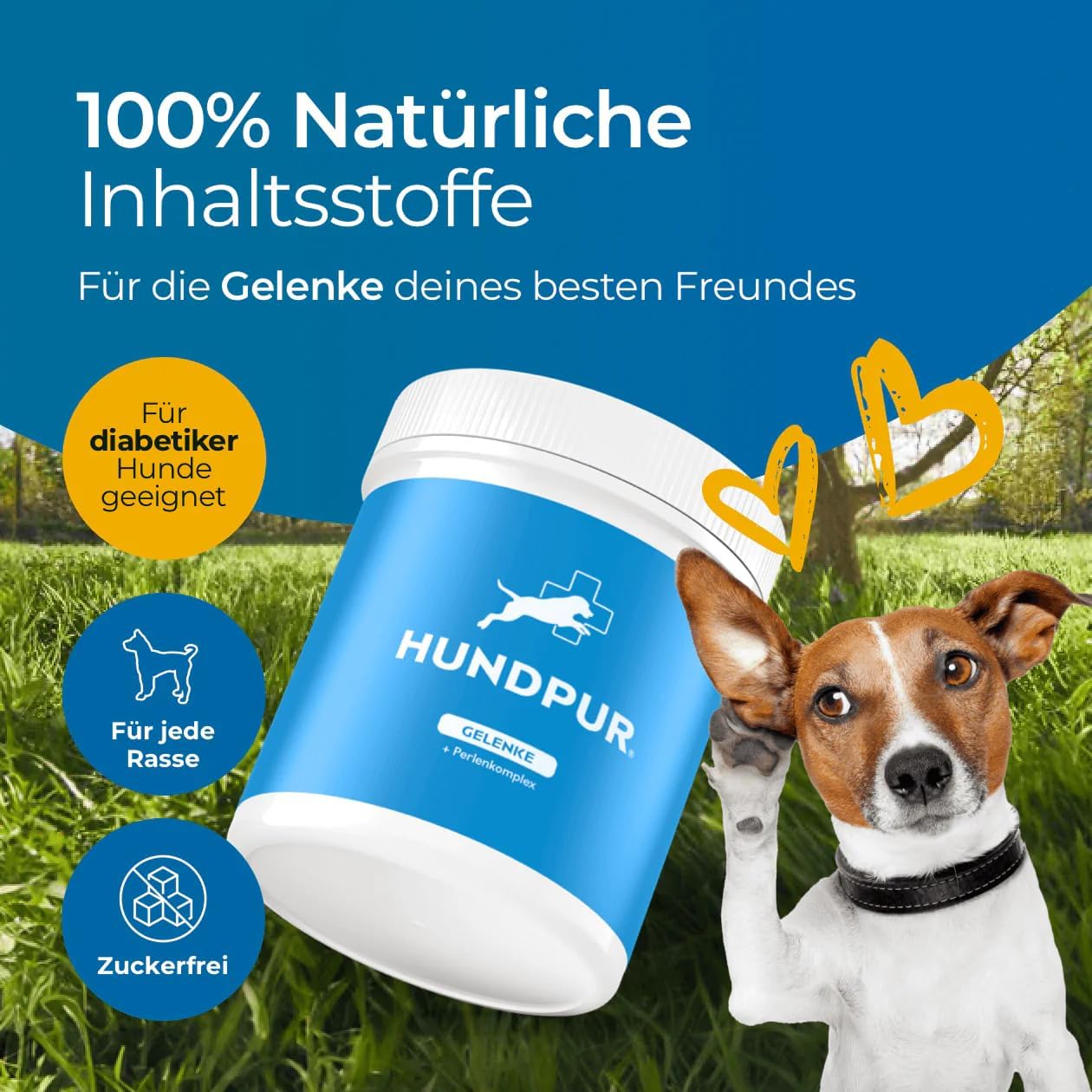 Pearl Complexes, Dog Joint Granules with Green Lip Mould, Glucosamine, MSM, Food Supplement with Spirulina Seaweed for Nutrient of All Joints 300g - Image 7