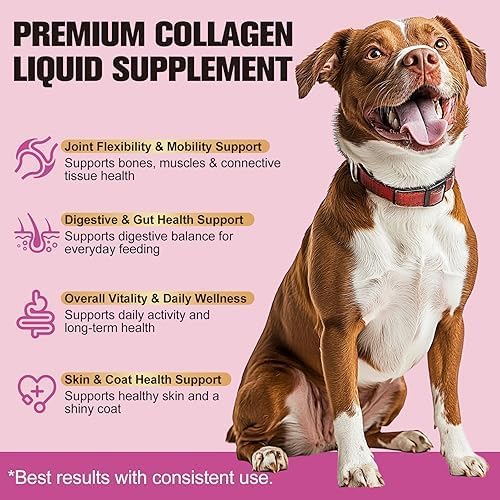 Premium Liquid Collagen for Dogs and Cats - Hydrolyzed Grazing Breeding - Natural Nutritional Support for Joints, Hips, Skin and Hair - Image 4
