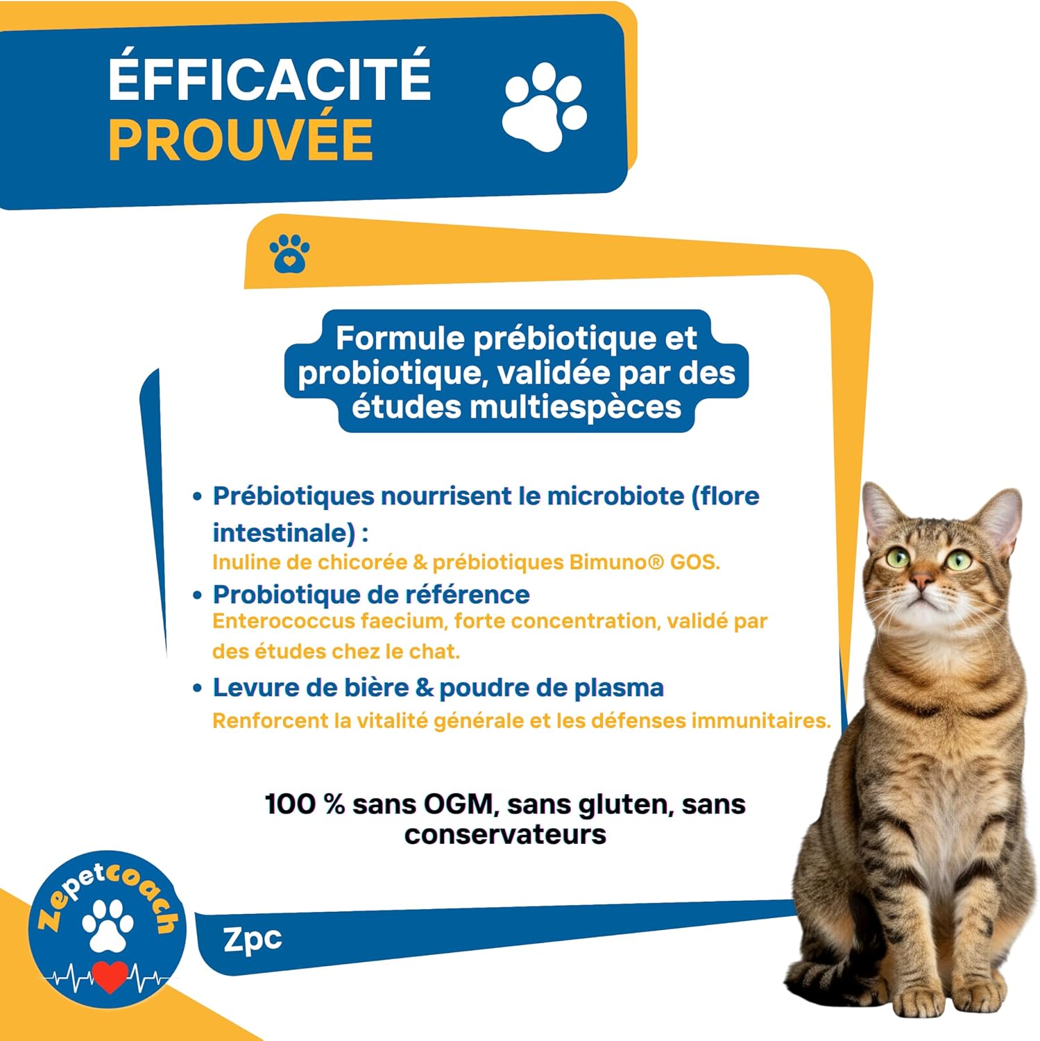 Healthy Digestion Formula for Cats – Prebiotic & Probiotic – Support Intestinal Flora & Immunity – 250g - Image 5