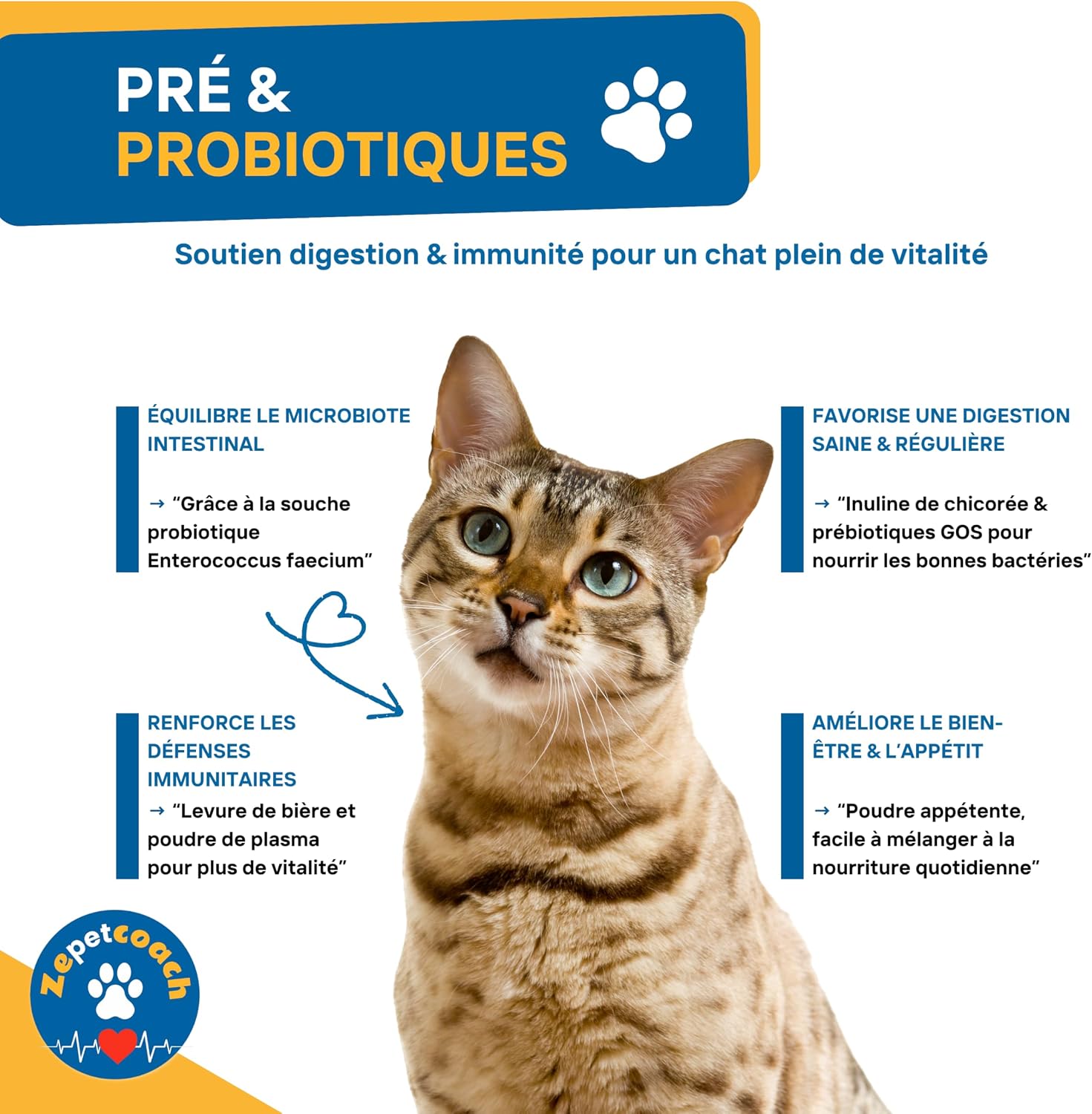 Healthy Digestion Formula for Cats – Prebiotic & Probiotic – Support Intestinal Flora & Immunity – 250g - Image 7