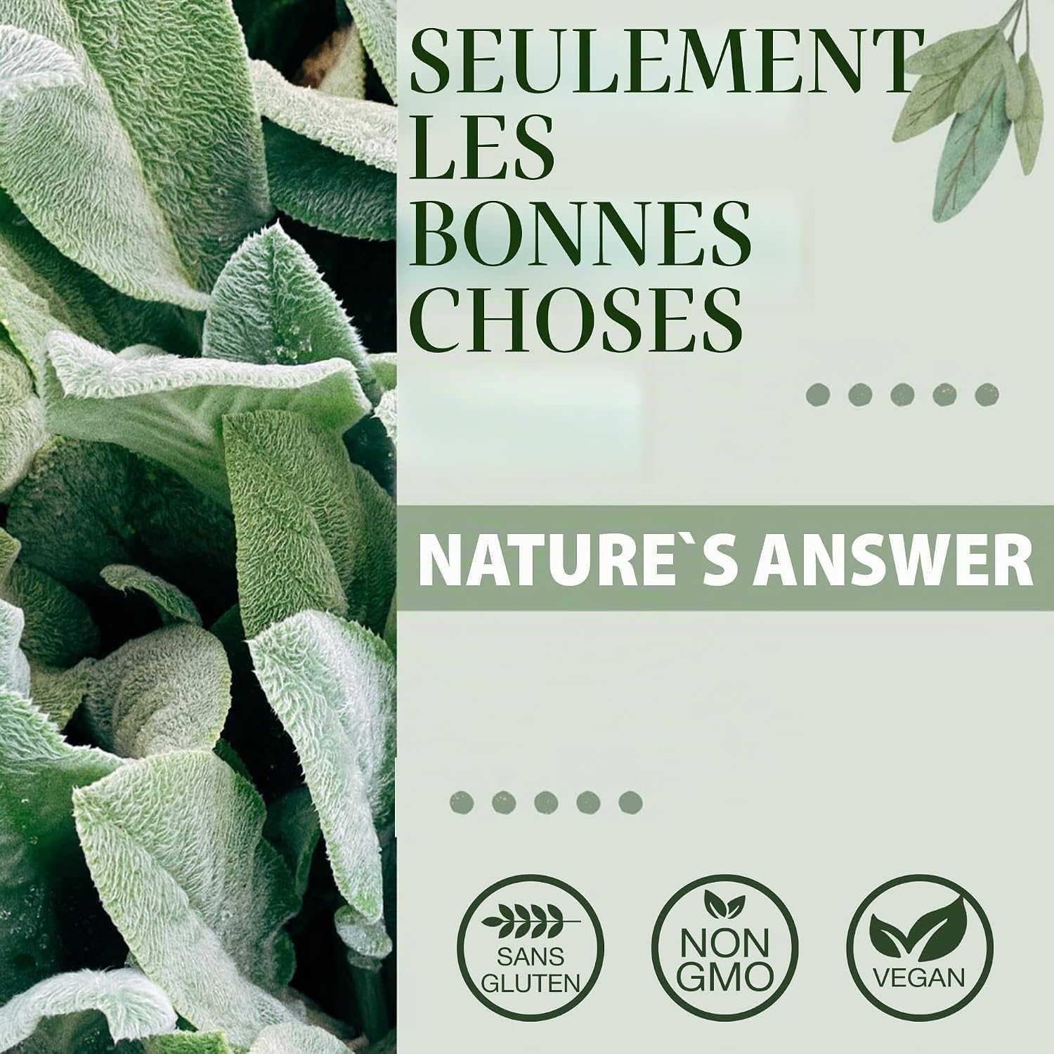 Nature's Answer, Ashwagandha Root (Ashwagandha Root), 2.000mg, 2 ml, Gluten Free, Soy Free, Vegan, Vegetarian, Non-GMO - Image 3
