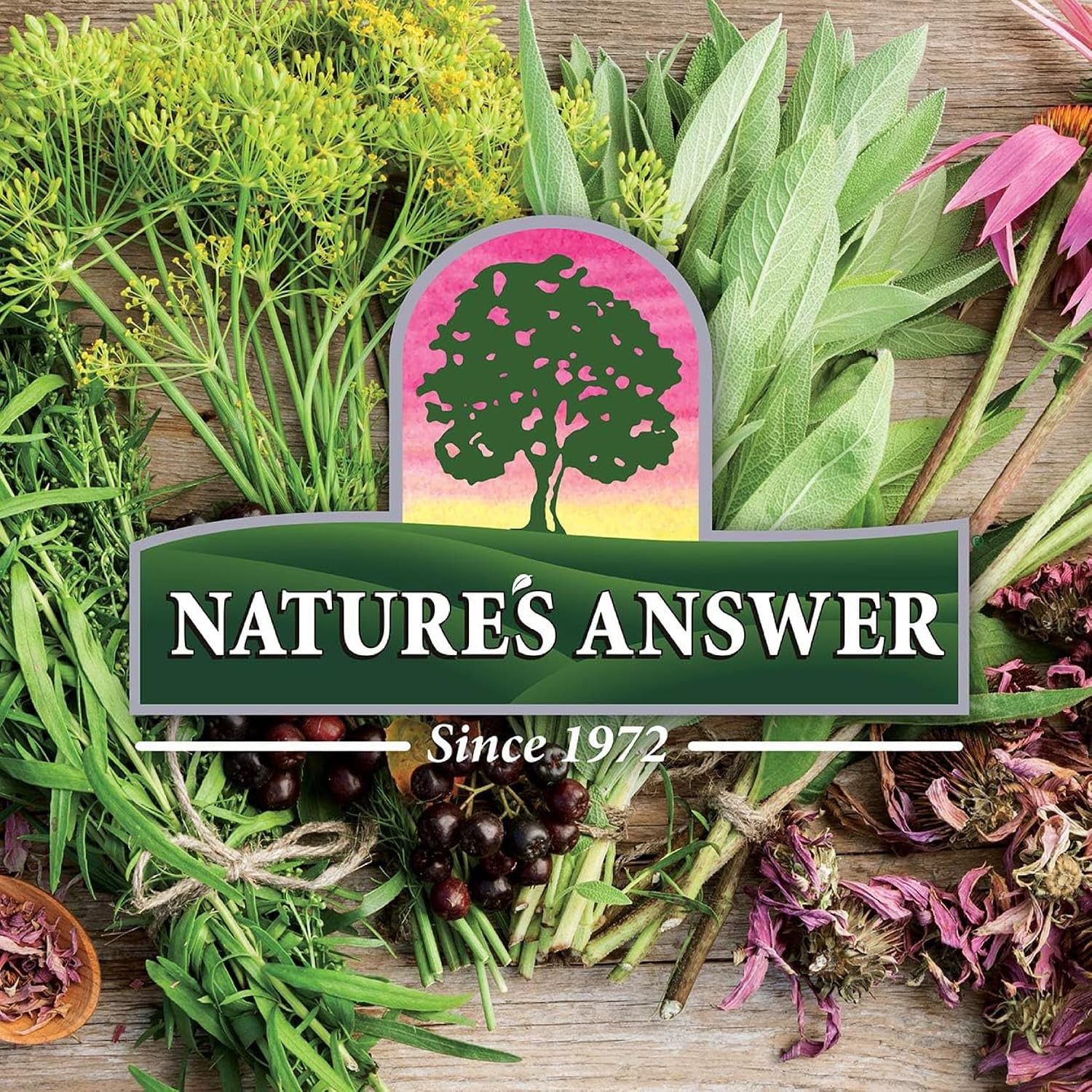 Nature's Answer, Ashwagandha Root (Ashwagandha Root), 2.000mg, 2 ml, Gluten Free, Soy Free, Vegan, Vegetarian, Non-GMO - Image 4